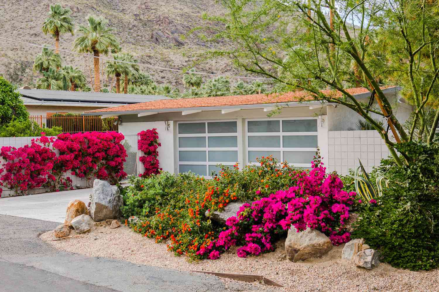 25 Midcentury Modern Landscaping Ideas for Your Home