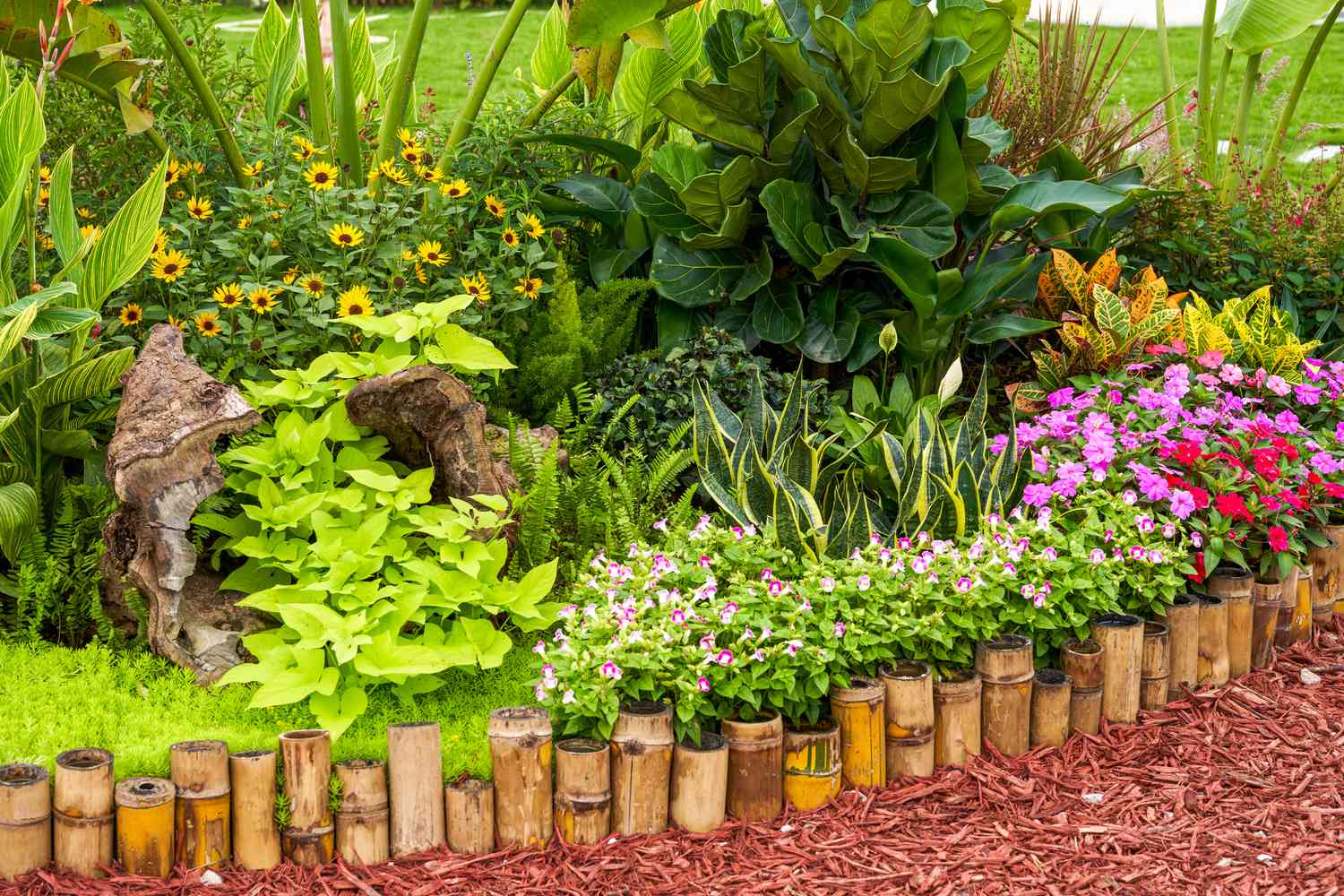 30 Budget-Saving and Creative Garden Edging Ideas