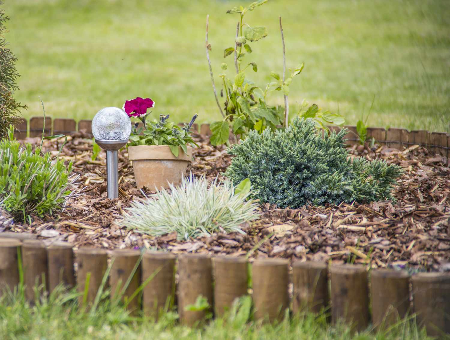 8 Inexpensive Garden Edging Ideas That Make Your Flower Beds Look So Much Better