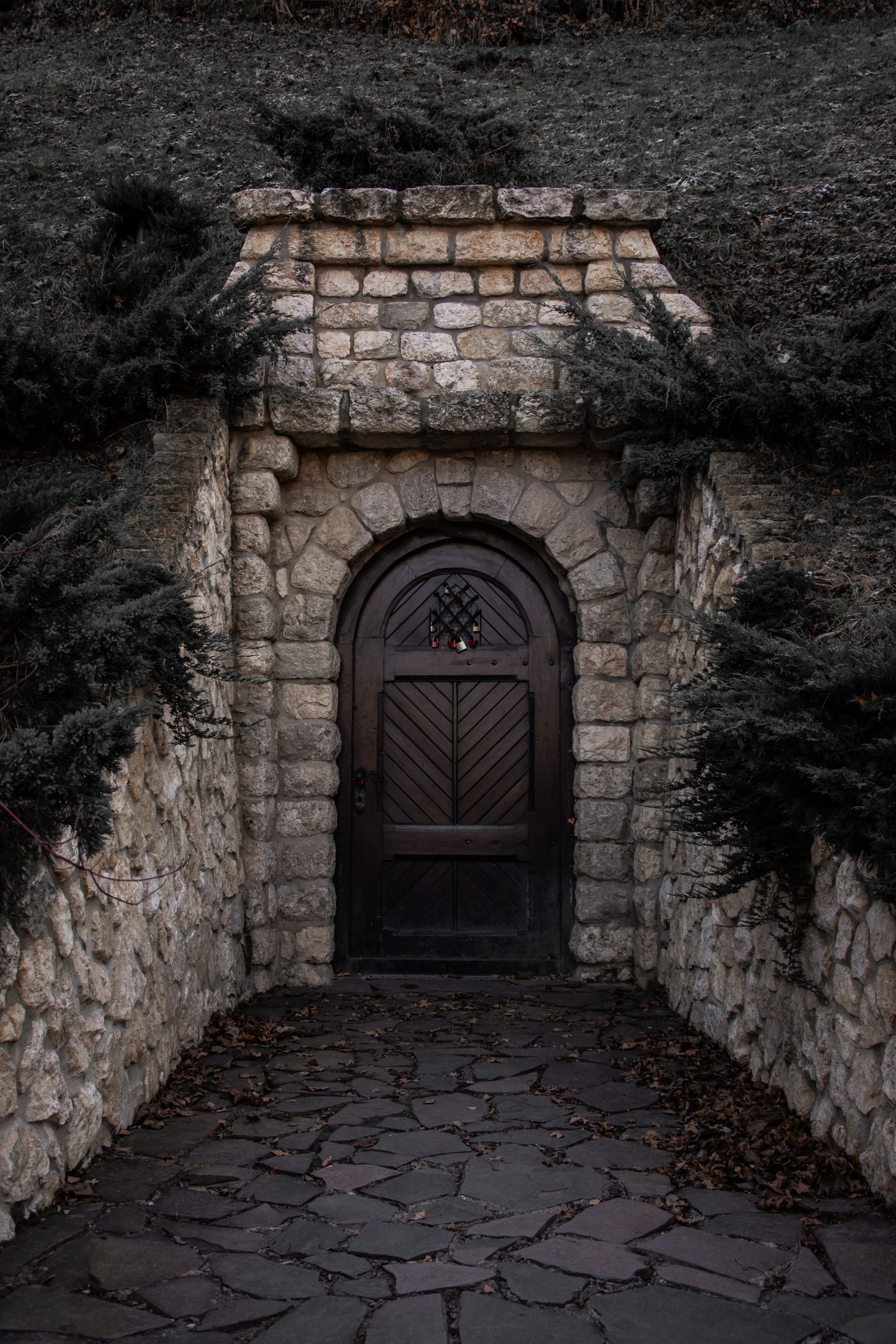 A mysterious wooden door set in a weathered stone wall surrounded by foliage.