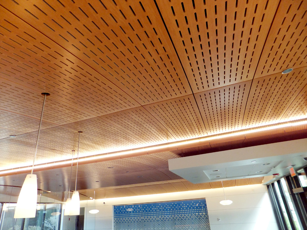All You Need to Know about Exposed Ceilings | ASI Architectural