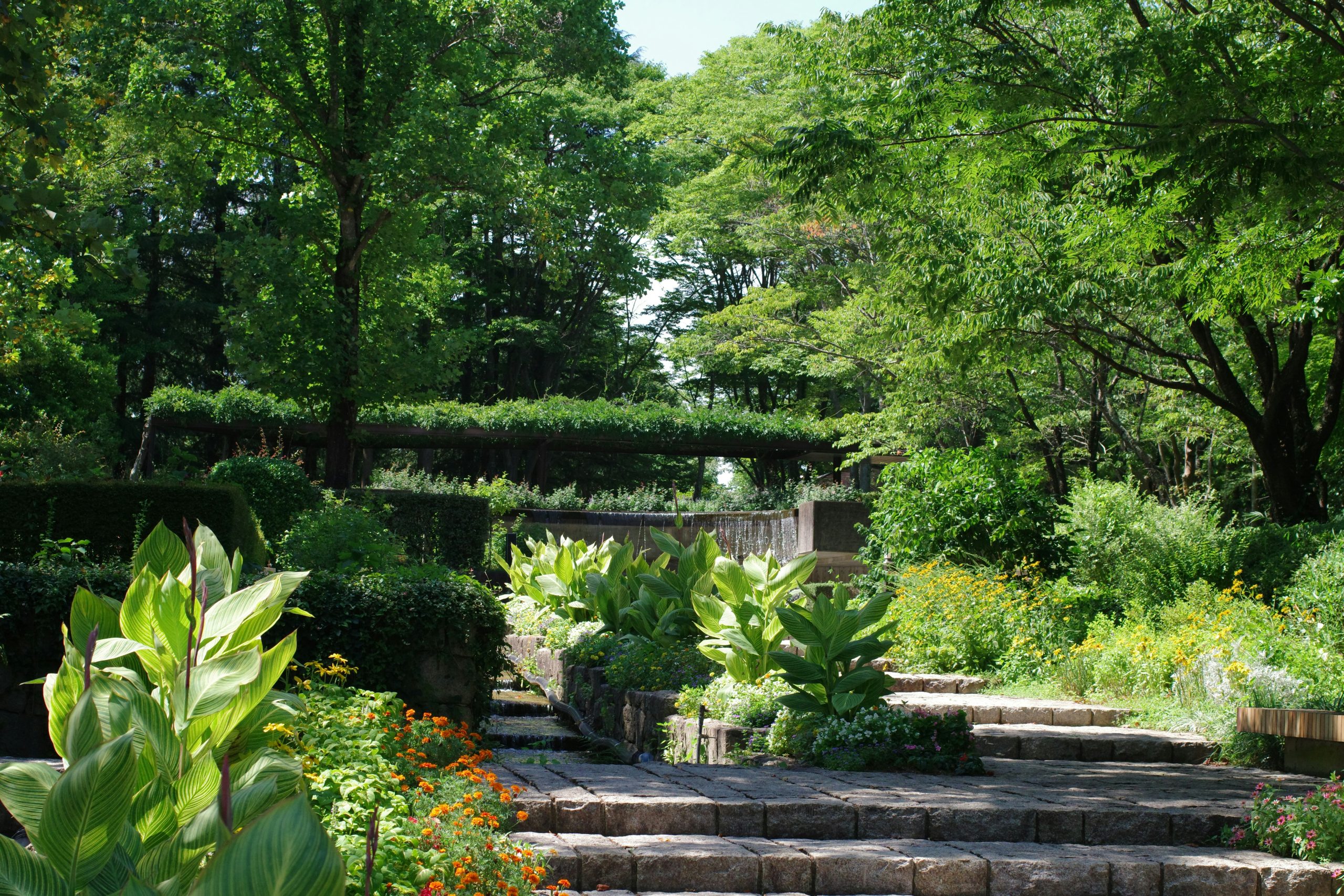 Beautiful green and flower garden、新緑と美しい花が織りなす絶景 A superb view of fresh greenery and beautiful flowers