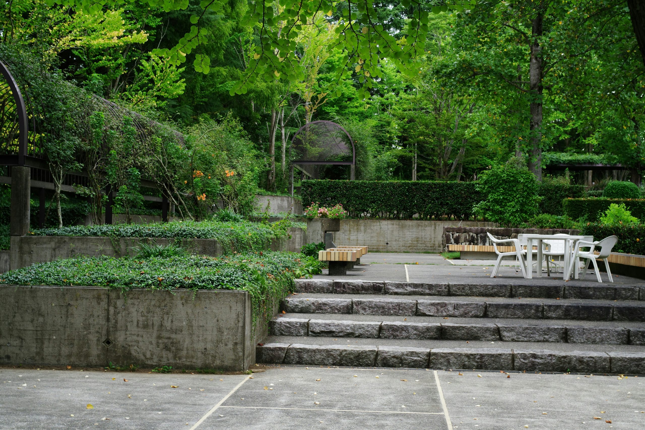 Beautiful green and flower garden、新緑と美しい花が織りなす絶景 A superb view of fresh greenery and beautiful flowers