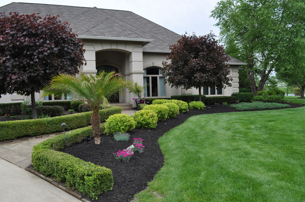 Black Dyed Mulch
