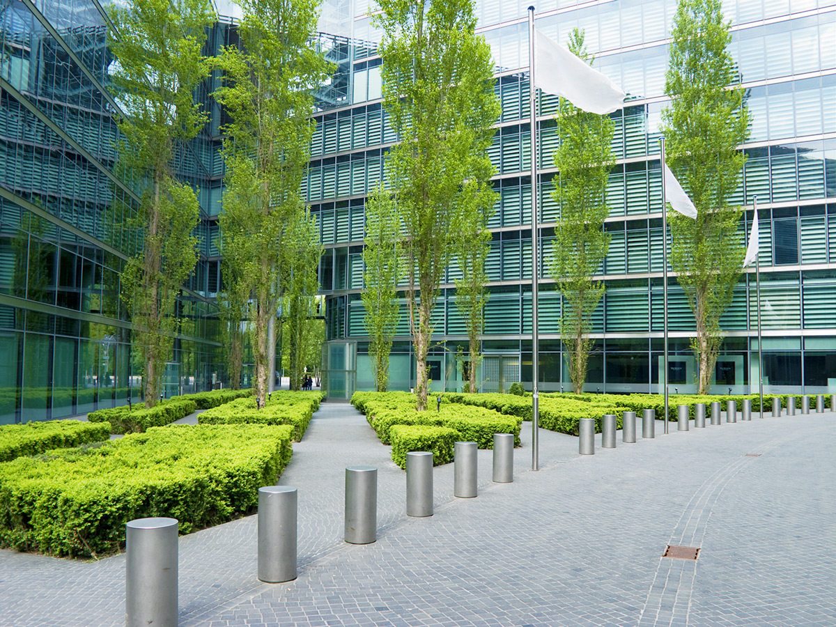 Commercial Landscape Installation | Williams Landscape Services