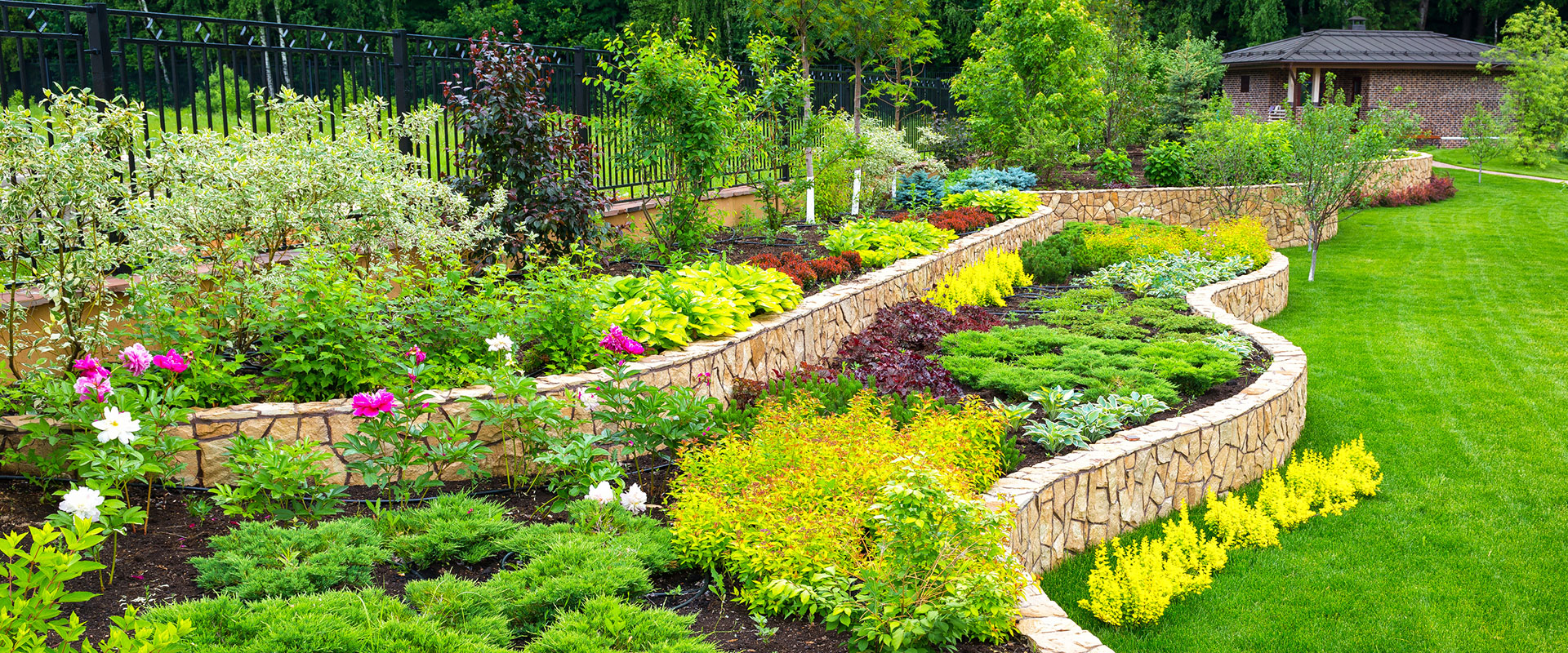 🥇 Creating the Perfect Driveway: The Best Trees and Shrubs for Function and Beauty | Alpharetta, GA