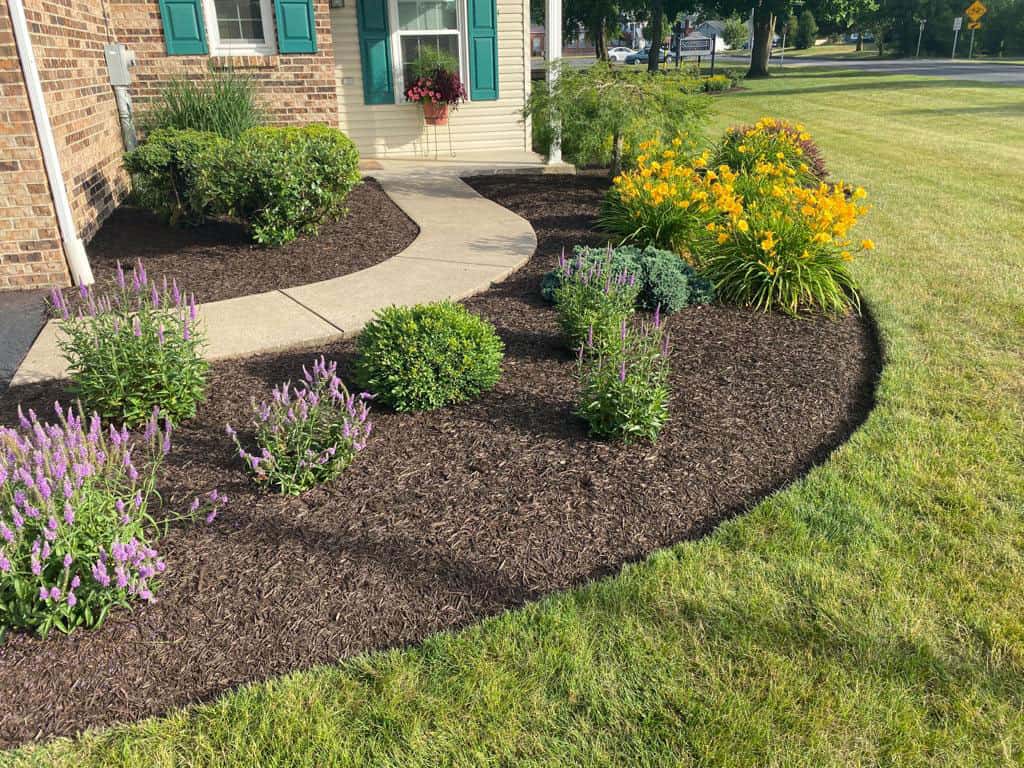 Dark Brown Mulch Landscaping: Benefits, Ideas, and Tips