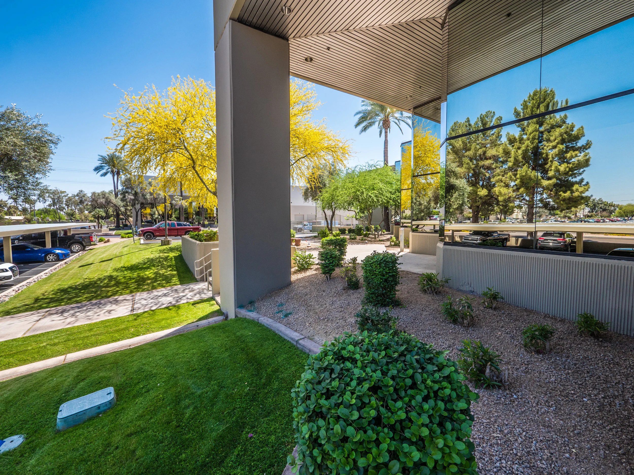Desert Landscape Ideas for Commercial Properties — SunState Landscape Management
