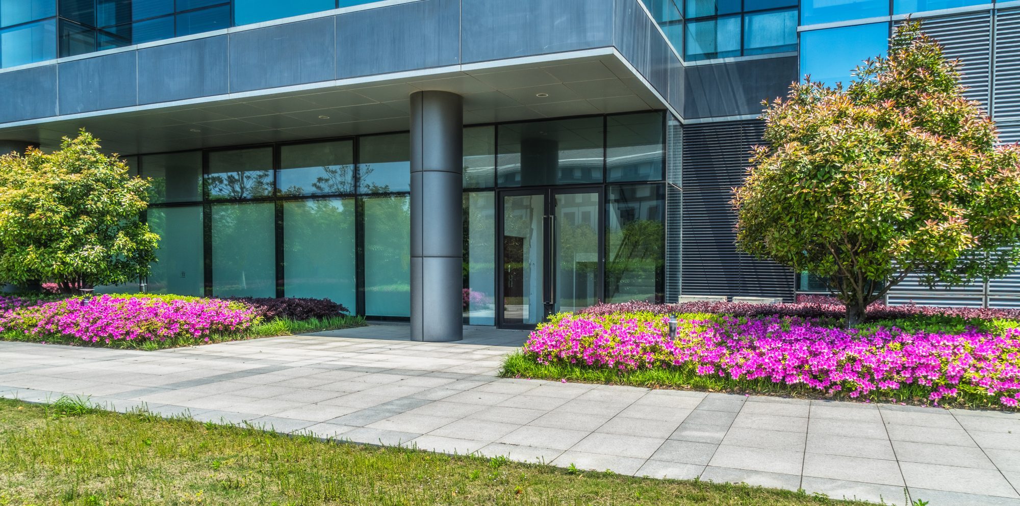 Is Commercial Landscaping a Good Investment? | Blade Cutters | Commercial Landscaping Services Cedar Lake