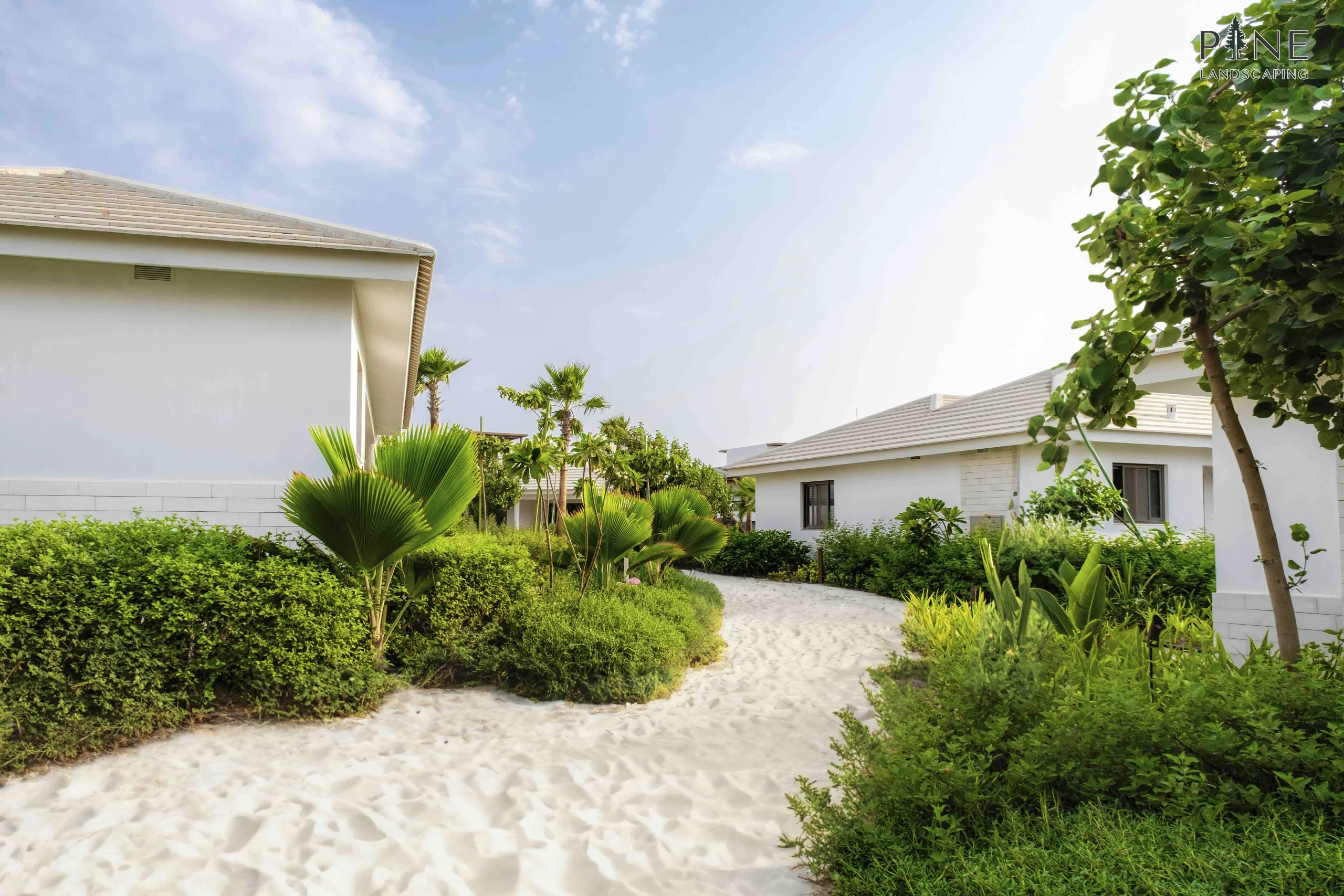 Landscape Design | Pine Landscaping