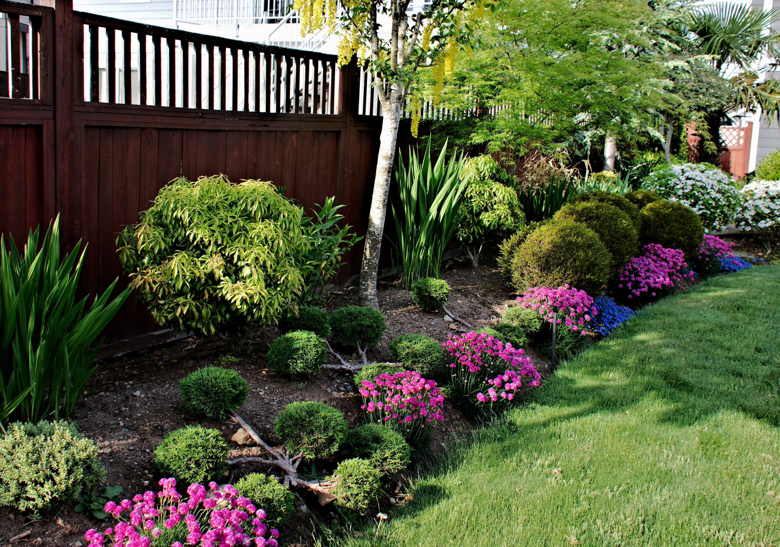 Landscaping Ideas: A Beginner's Guide to Transforming Your Outdoor Space