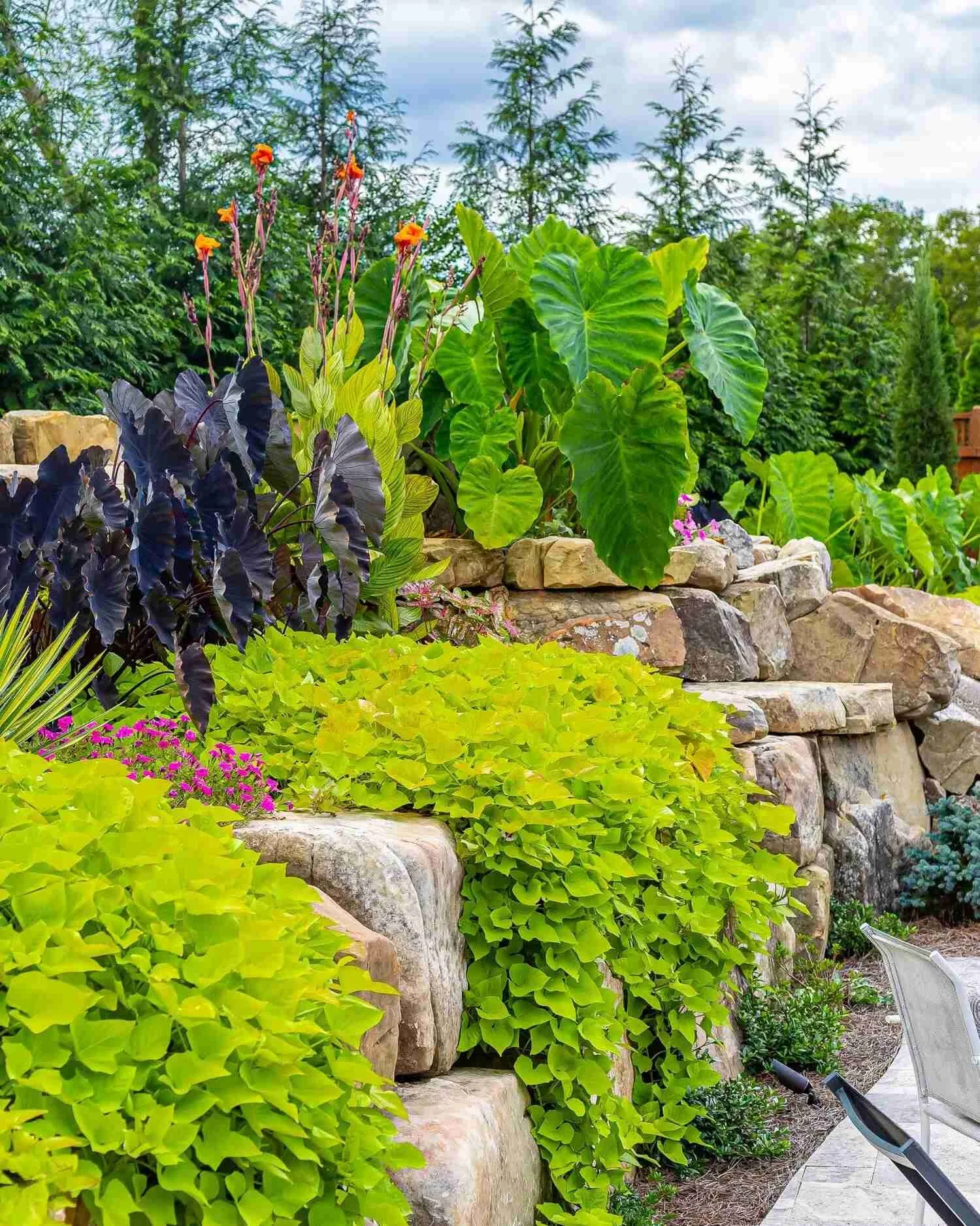 Lawn & Landscaping Services in Buckhead, GA