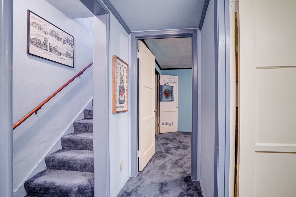 Staircase to basement with brand new carpeting leading to two downstairs bedrooms and a bathroom/laundry room combo, in addition to a large storage area and 8-yr-old HVAC unit. - The Sister Team
