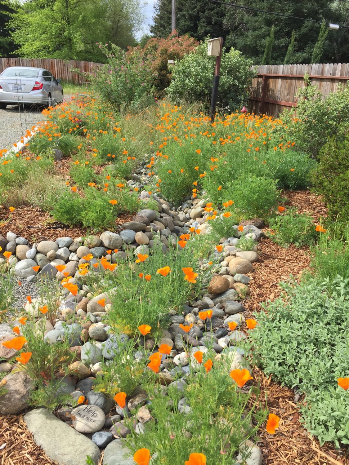 The Watershed Approach to Landscaping - California Native Plant Society