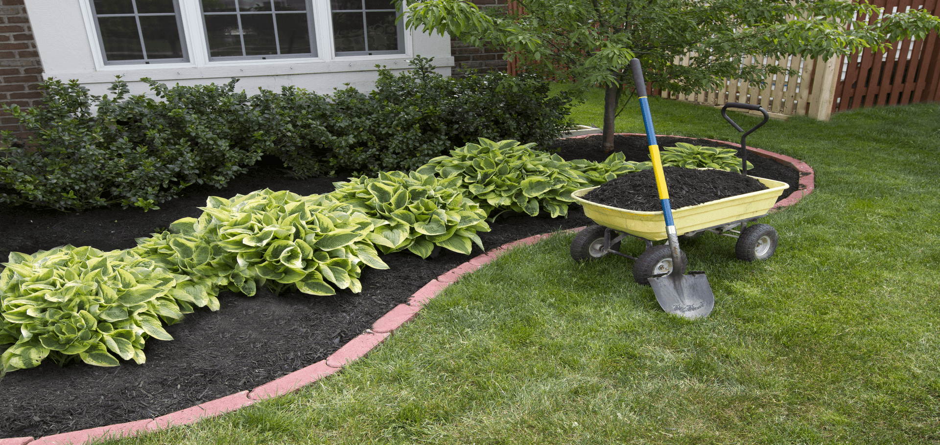 What Color Mulch Is Best For Your Garden? - Chorbie