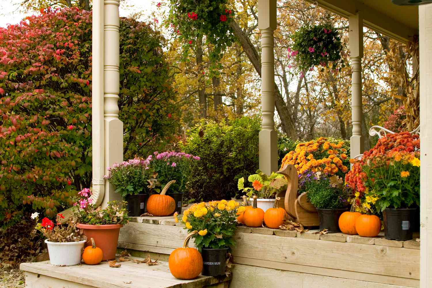 12 Best Fall Garden Ideas and Inspiration