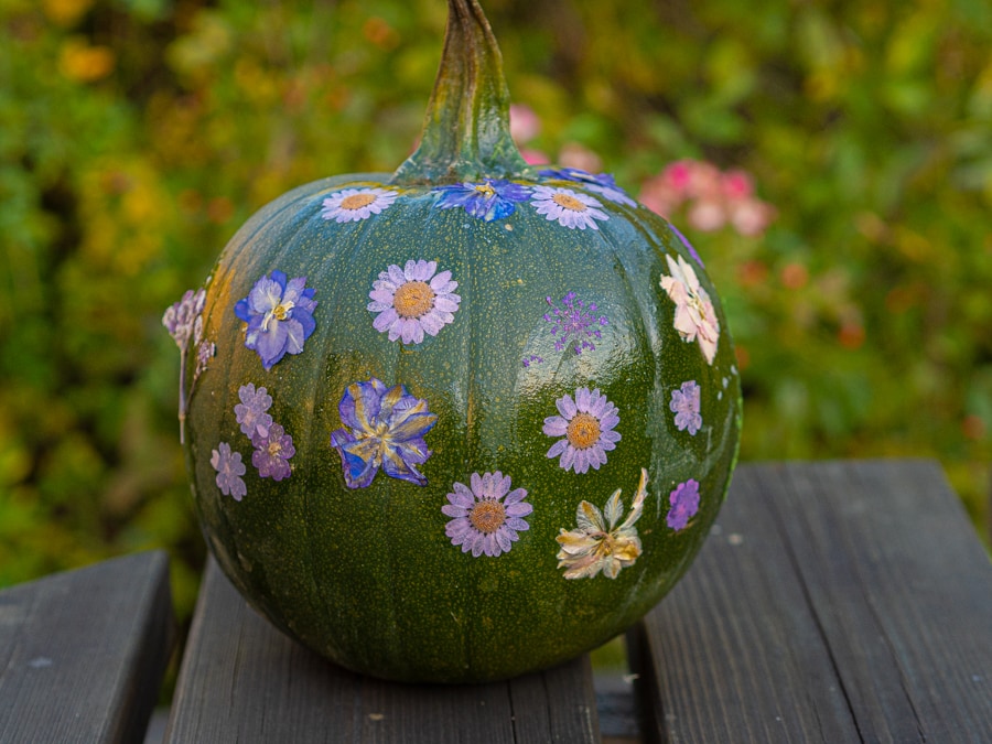 7 Easy No Carve Pumpkin Ideas using Nature - Thimble and Twig