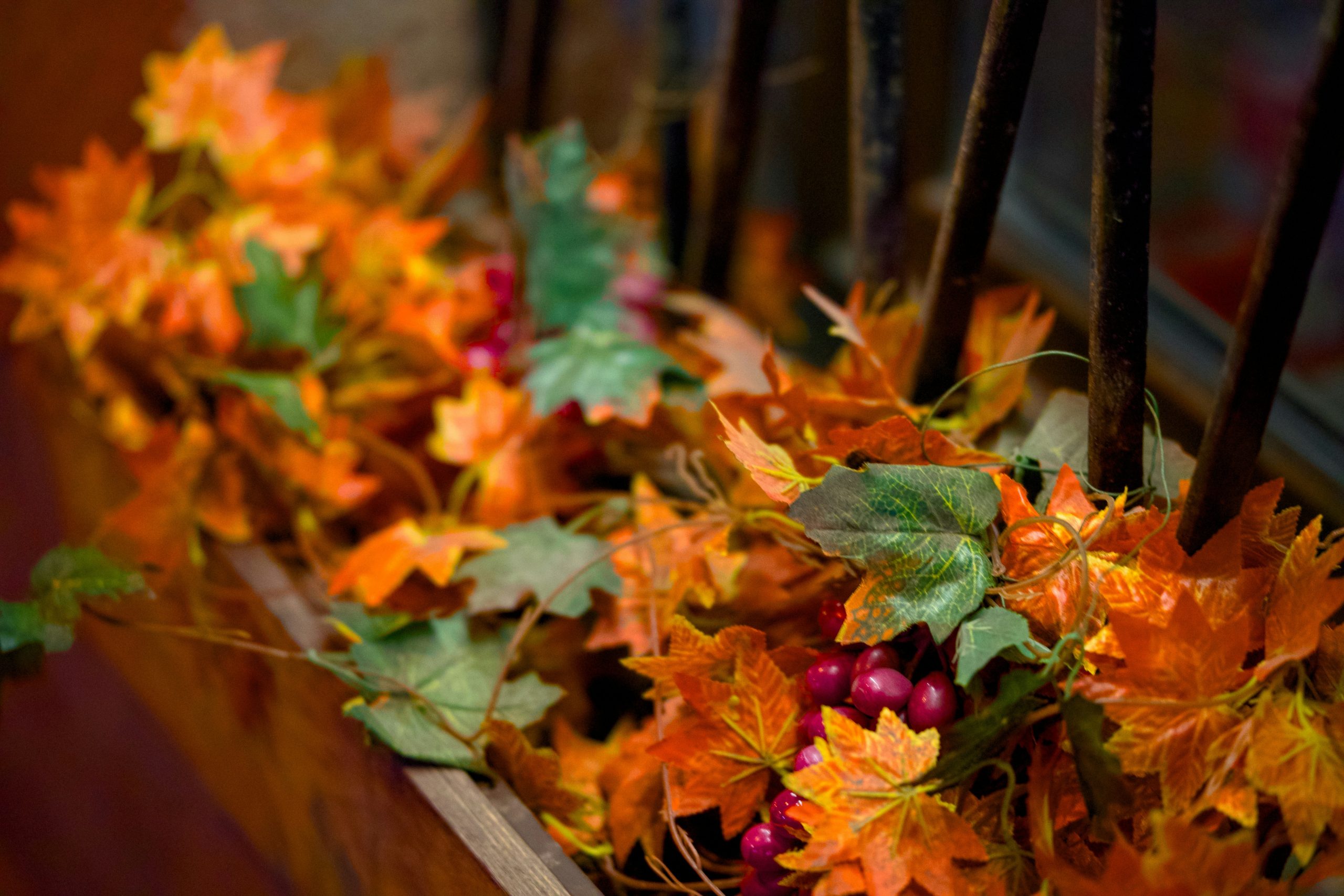 A bunch of leaves that are sitting on a window sill
