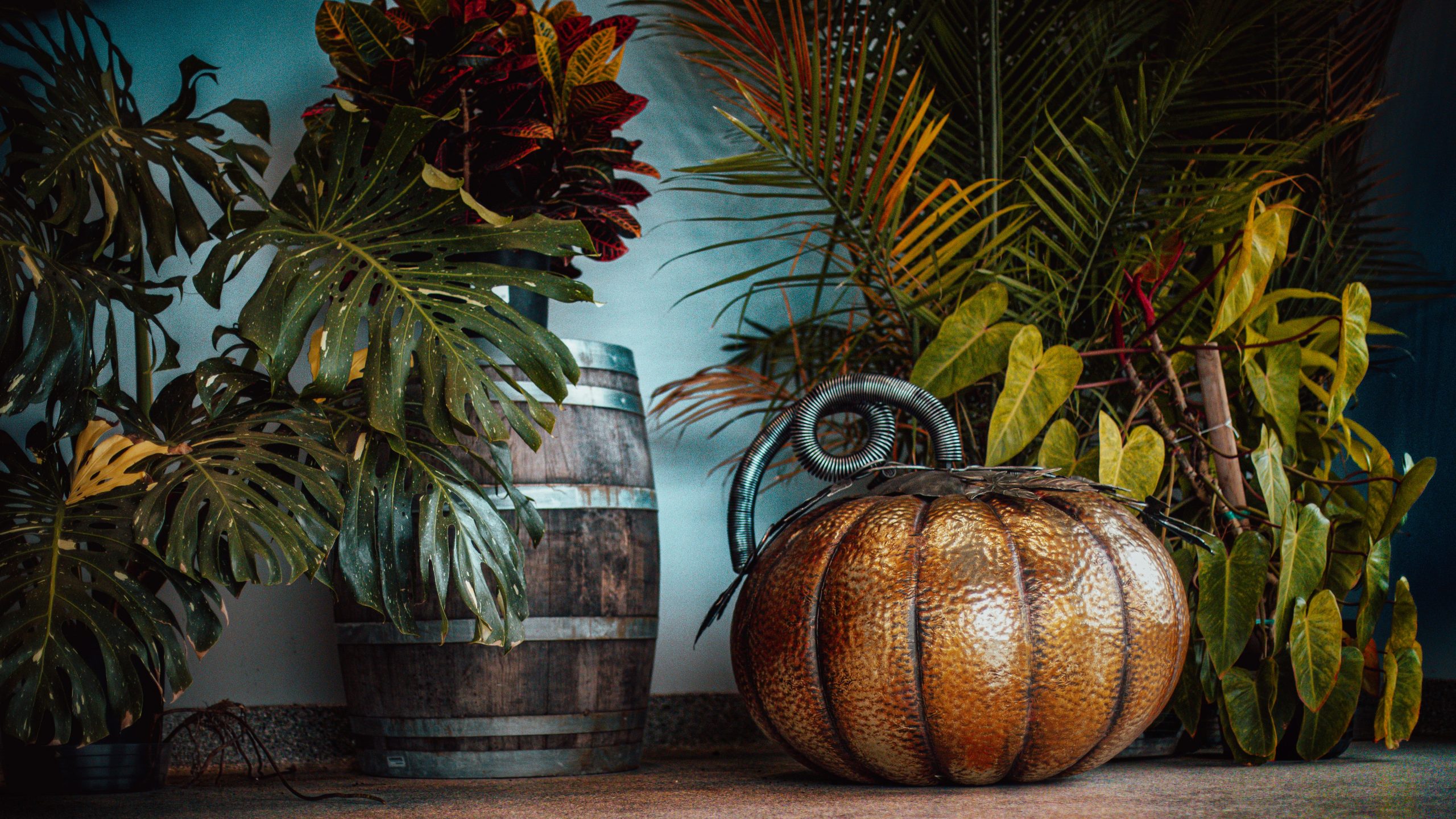 A carved pumpkin sits beside a wooden barrel and plants