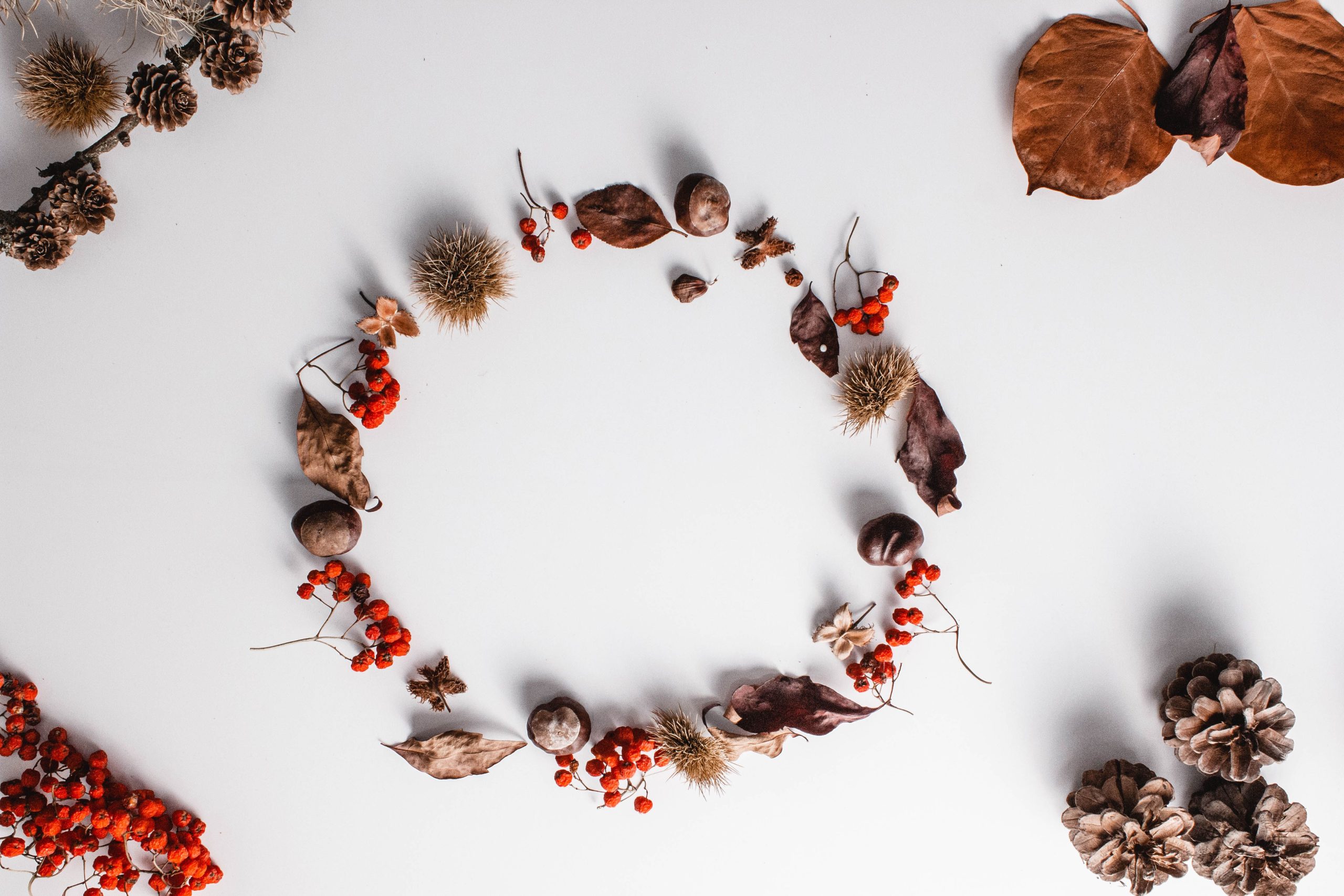 A circular arrangement of autumn leaves, berries, and pine cones on a white background.