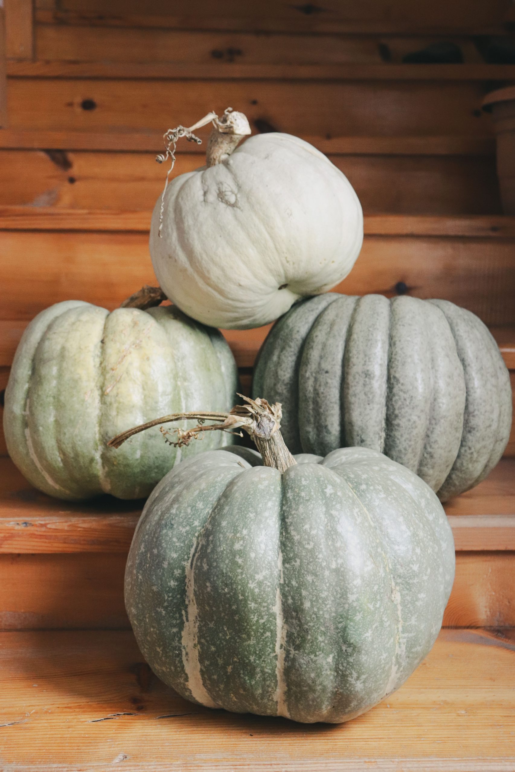 A collection of green and white pumpkins arranged on wooden steps indoors.