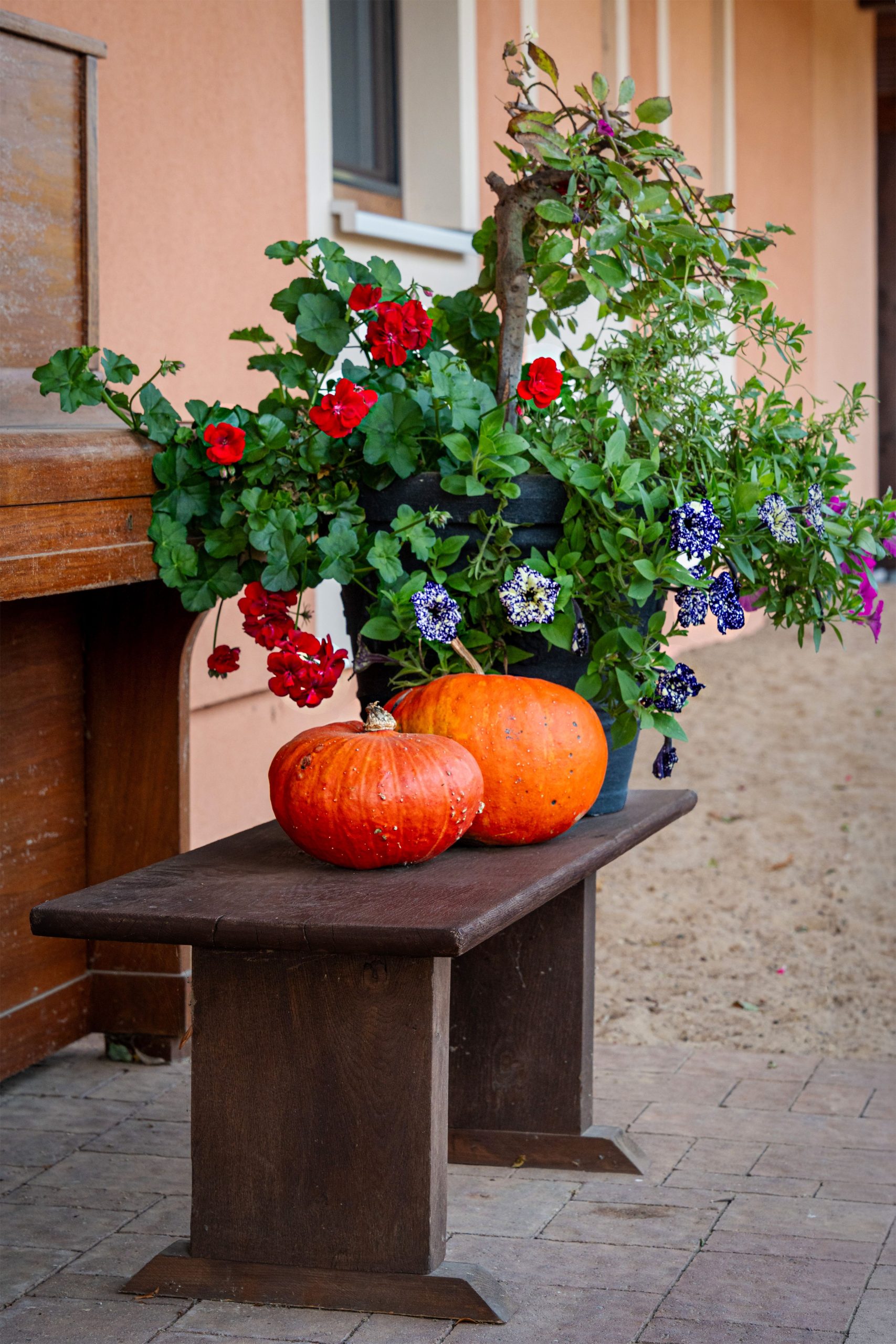 A cozy autumn scene with pumpkins and flowers on a rustic bench in a garden setting.