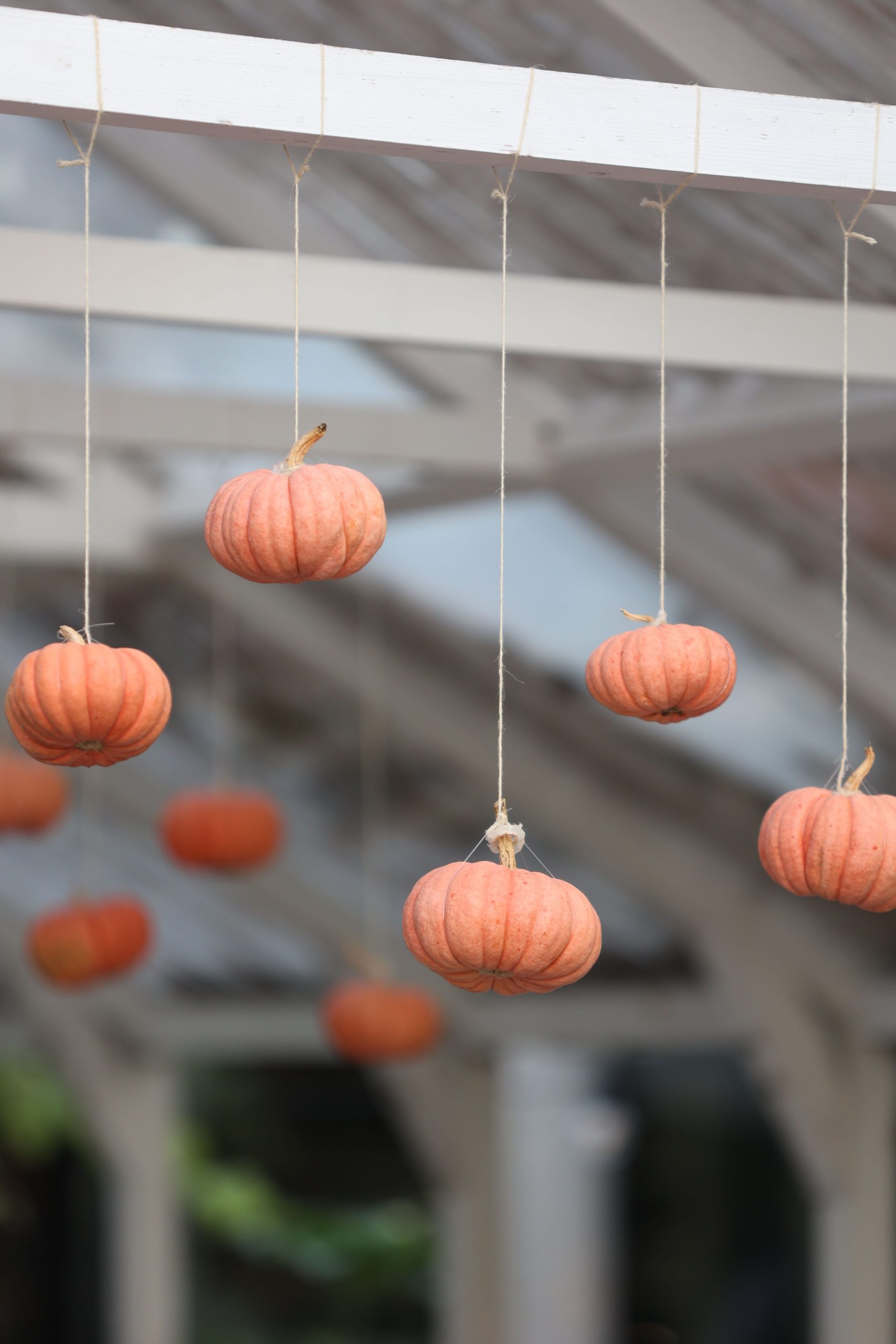 A creative display of orange pumpkins hanging from strings in a festive Halloween setting.