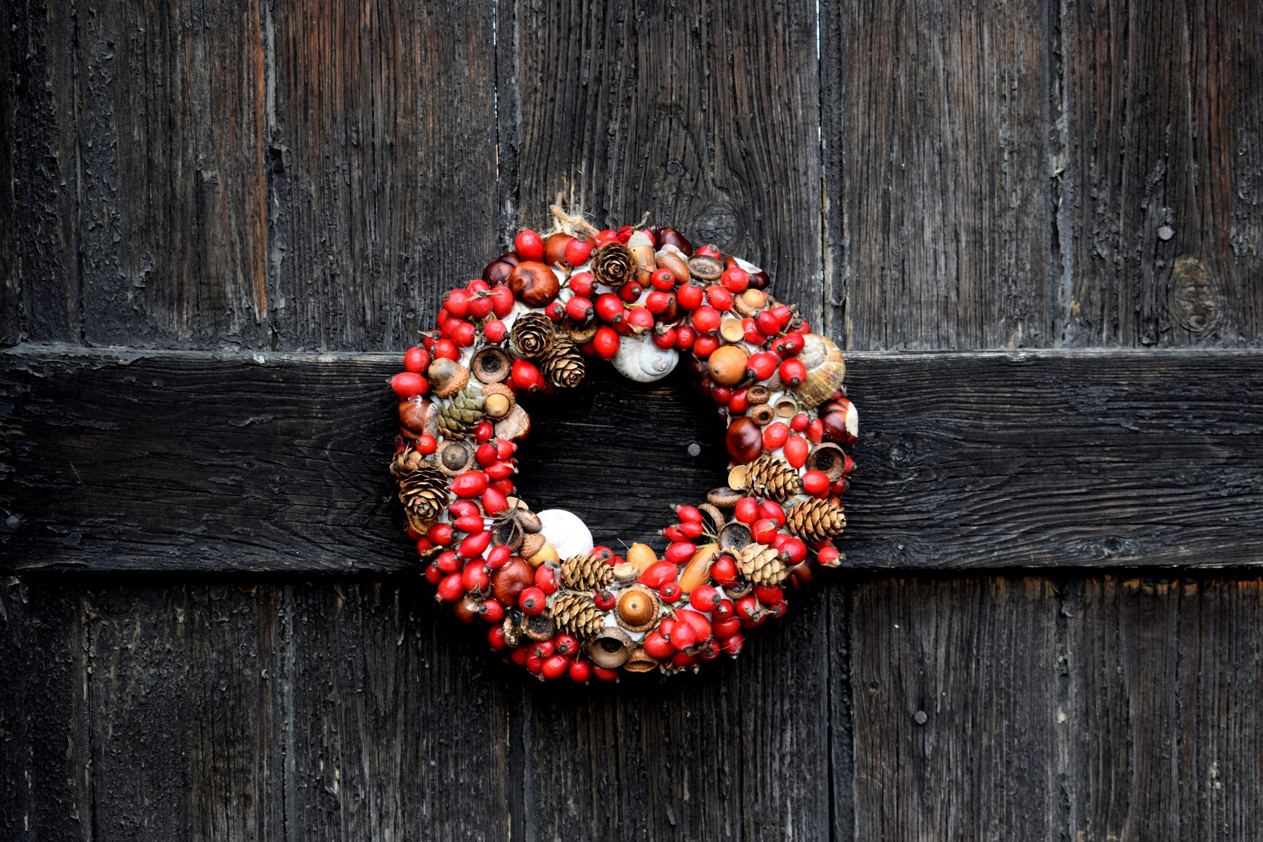 A festive red and brown wreath with natural elements on a rustic wooden door.