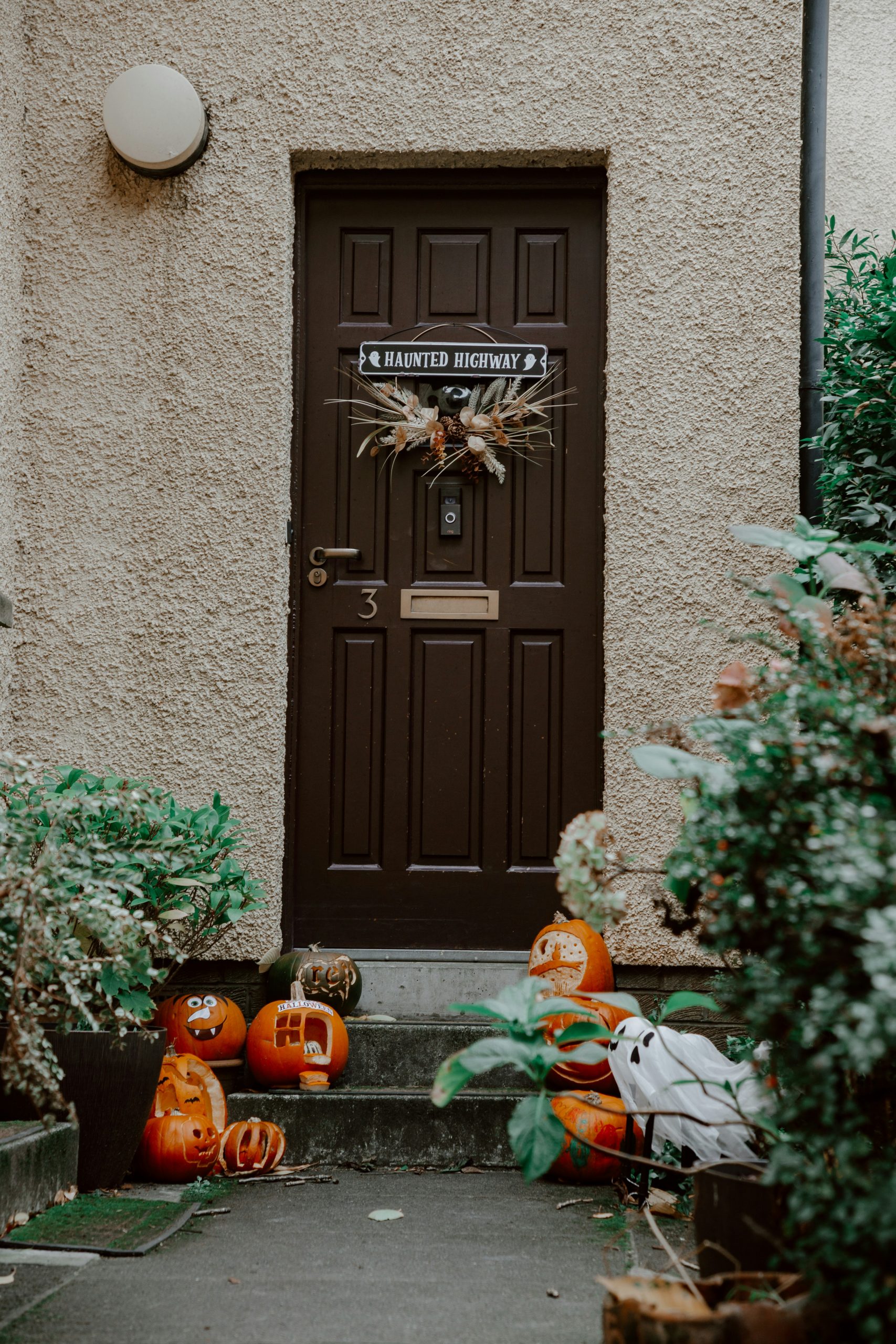 A front door with pumpkins on the steps