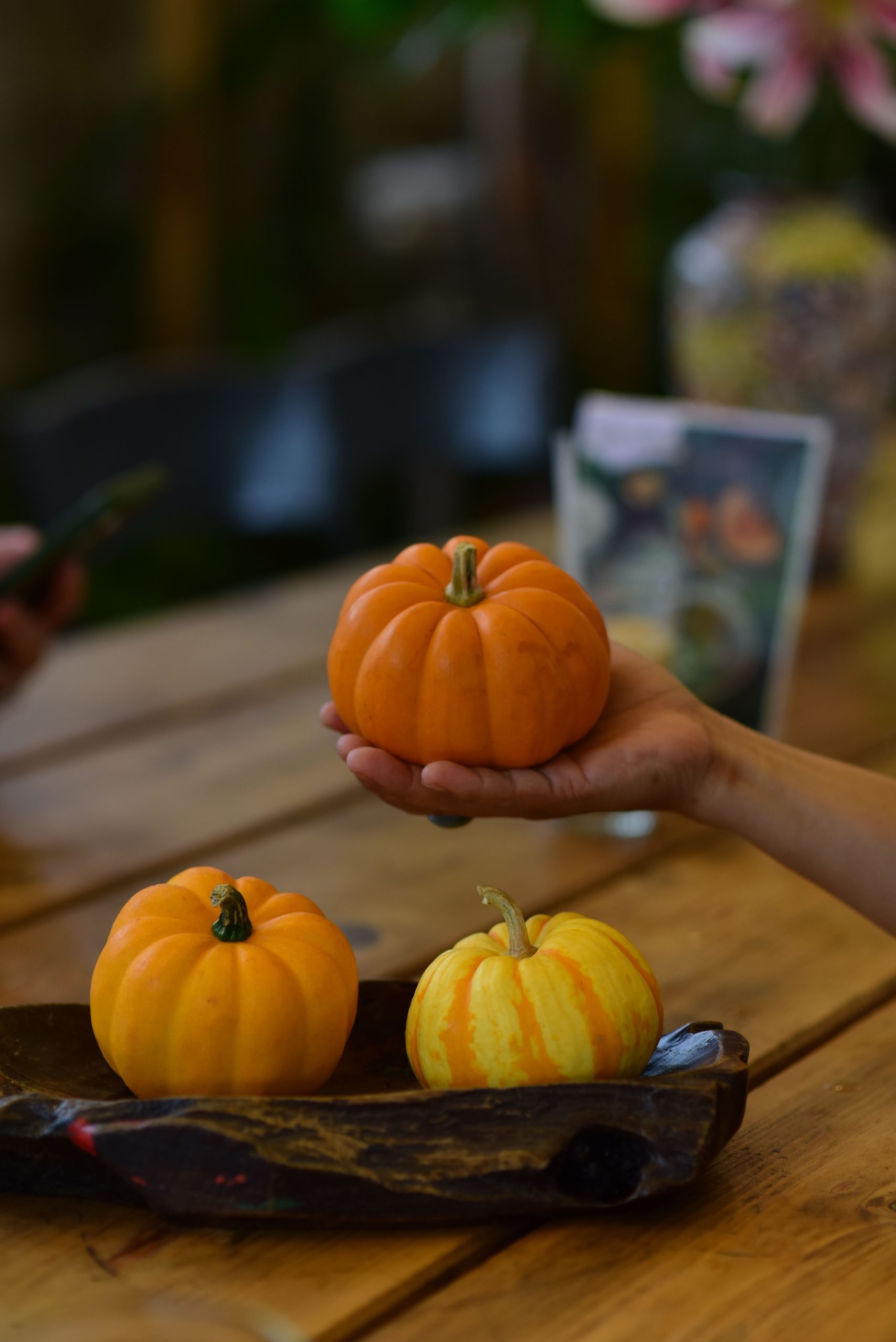 A hand holding a mini pumpkin on a wooden table with decorative gourds, perfect for autumn themes.