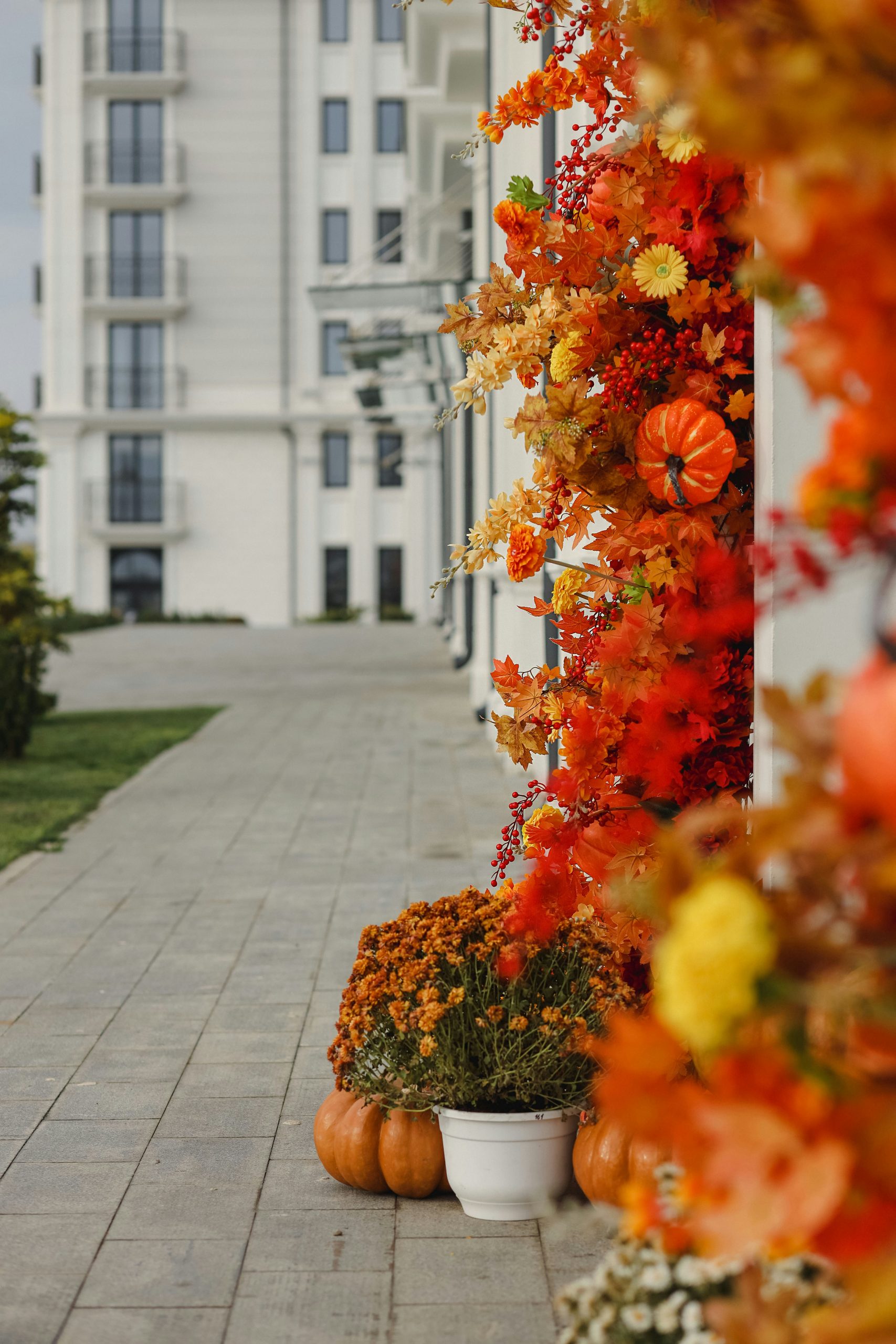 a row of pumpkins sitting on the side of a building