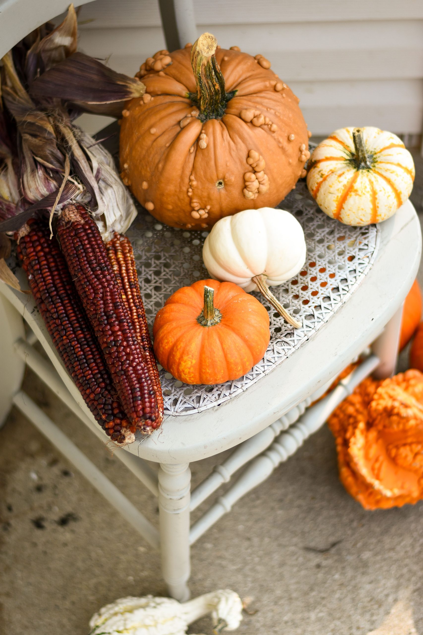 A rustic chair with assorted pumpkins and corn cobs in a fall-themed still life.