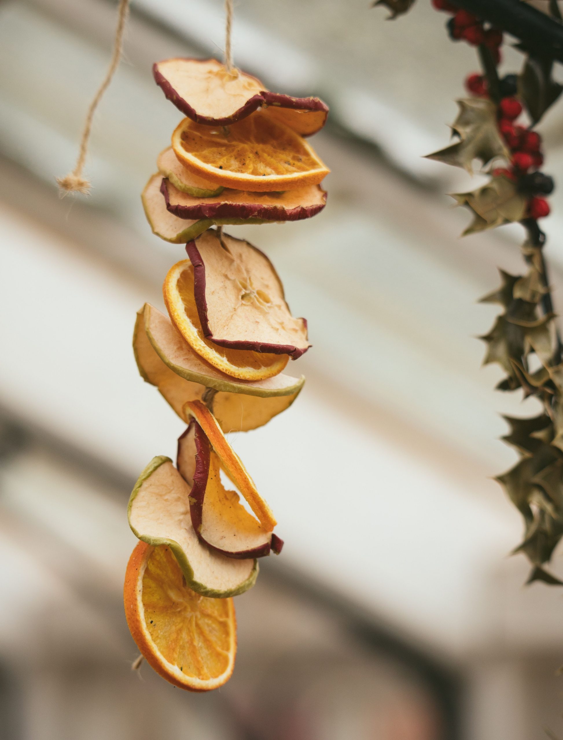 A string of dried fruit slices hanging decoratively inside a well-lit room.