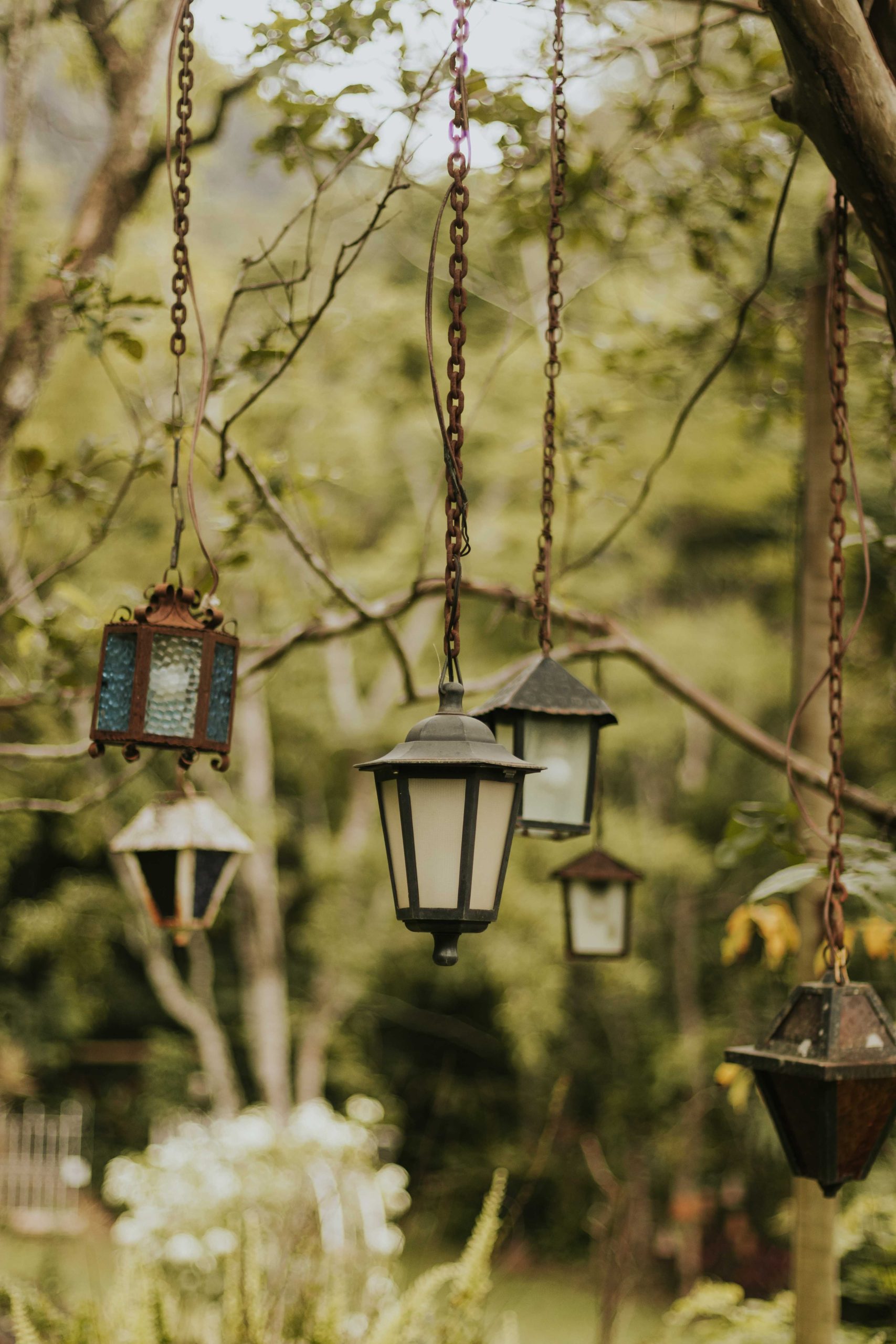 A tranquil scene with vintage hanging lanterns in a lush green garden, exuding a serene ambiance.