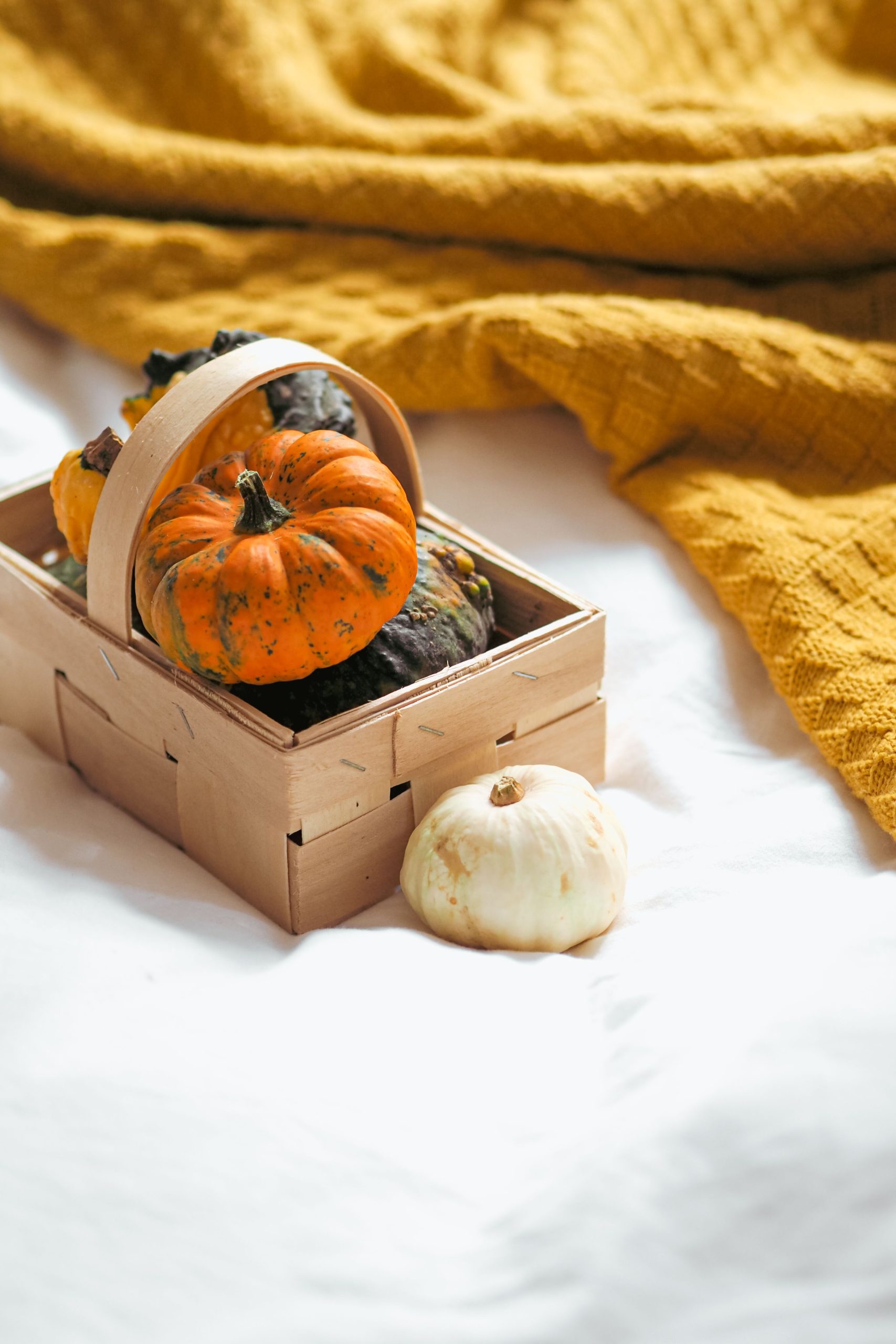 A warm autumn scene featuring pumpkins in a basket with a soft, yellow blanket background.
