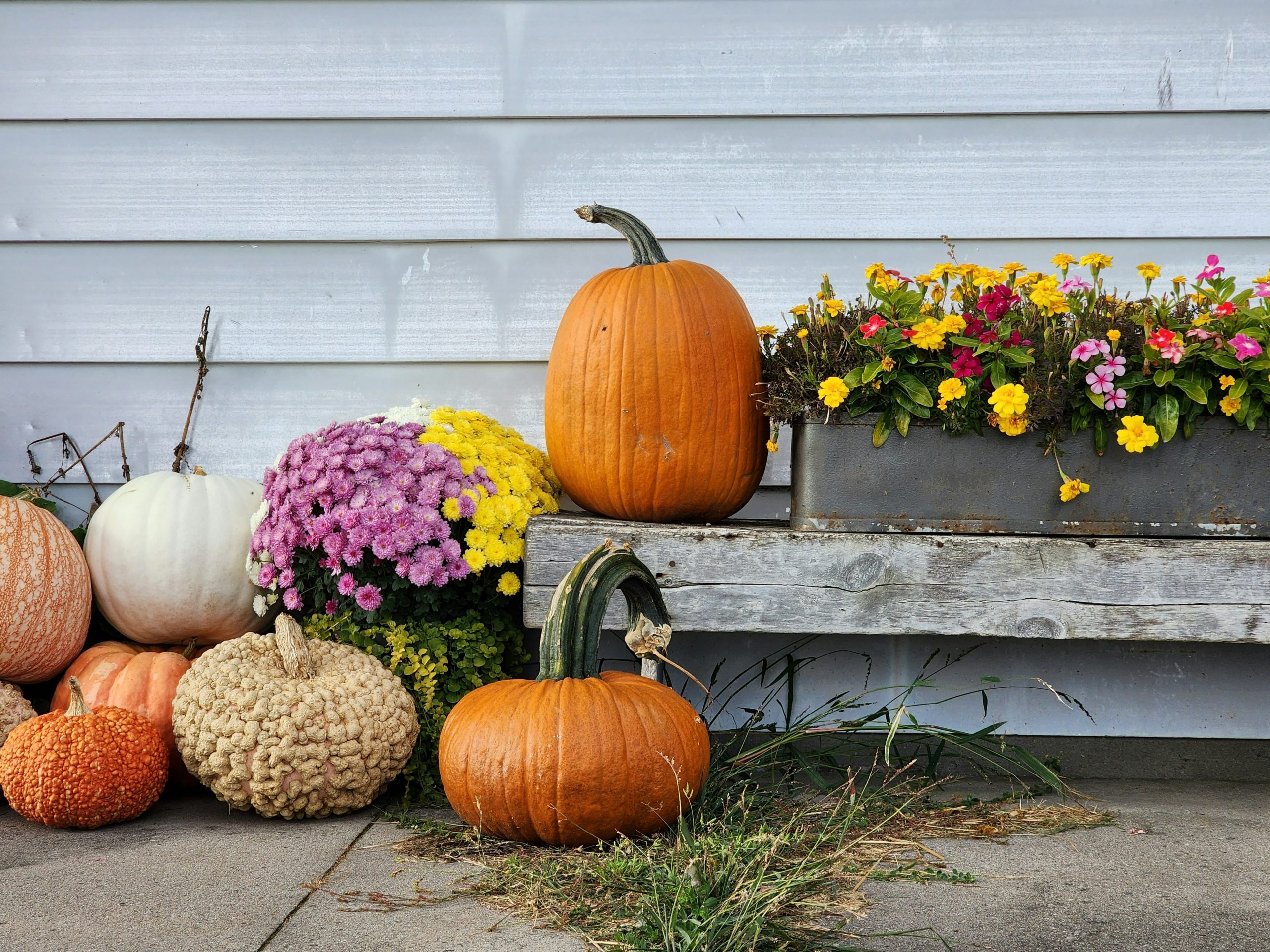 An exquisite outdoor display on Thanksgiving weekend.