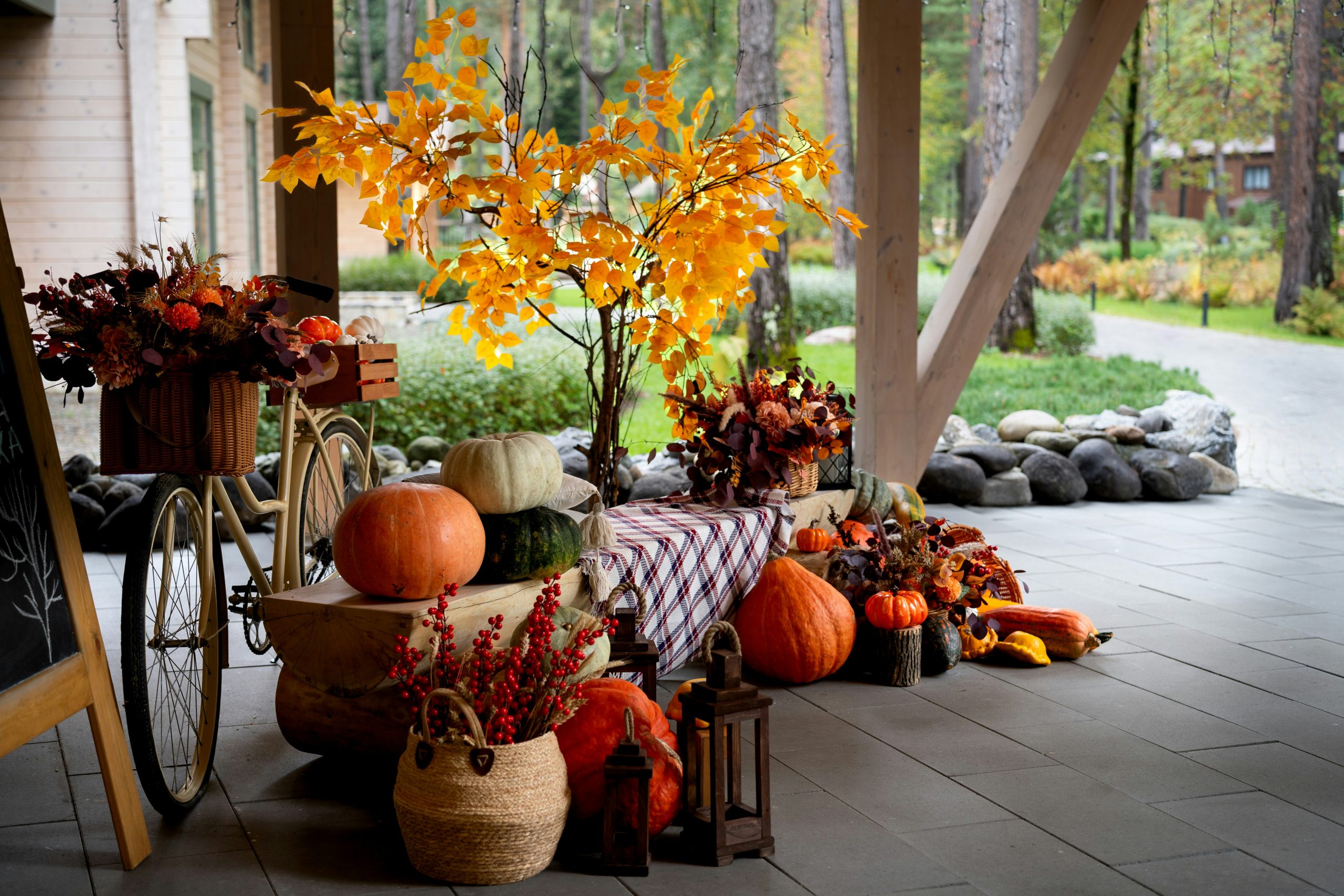 Autumn harvest decorations with pumpkins and gourds.