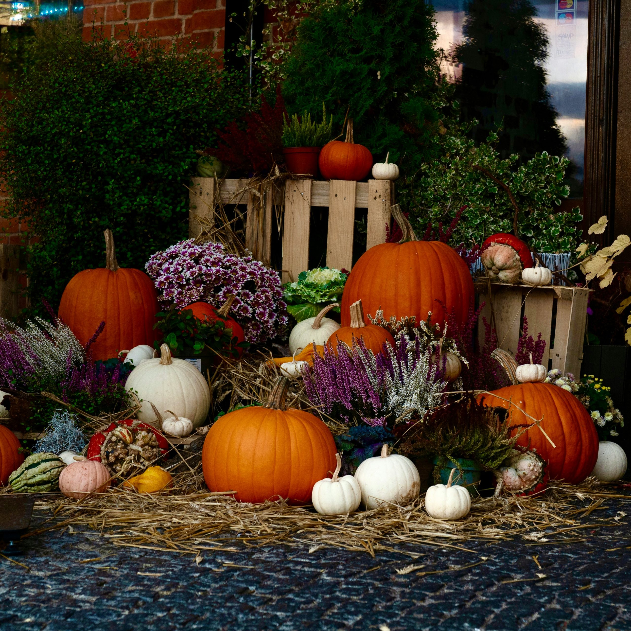 Autumn harvest display with pumpkins and mums