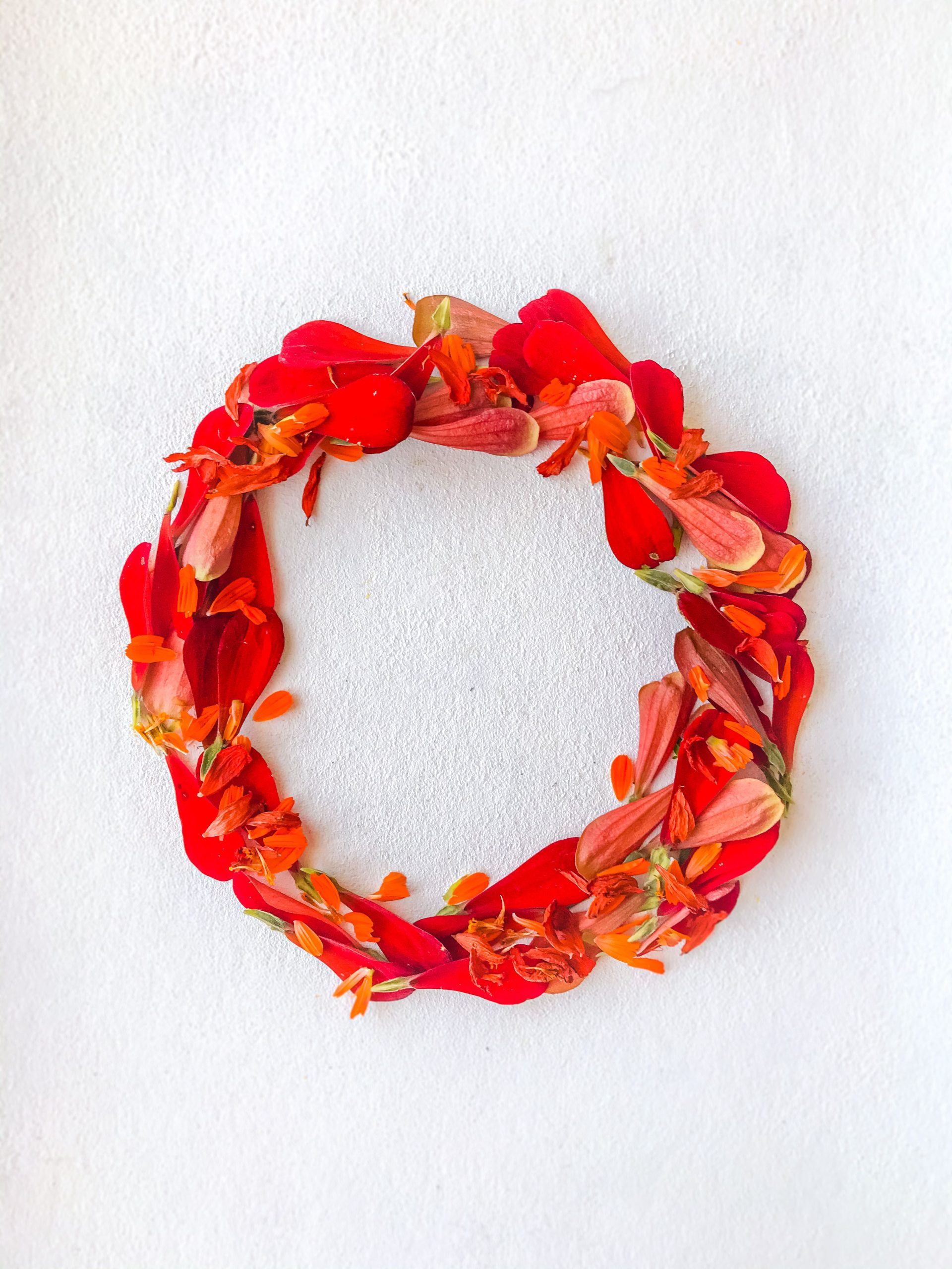 Bright red flower petal wreath on a clean white backdrop, showcasing vibrant color contrast.