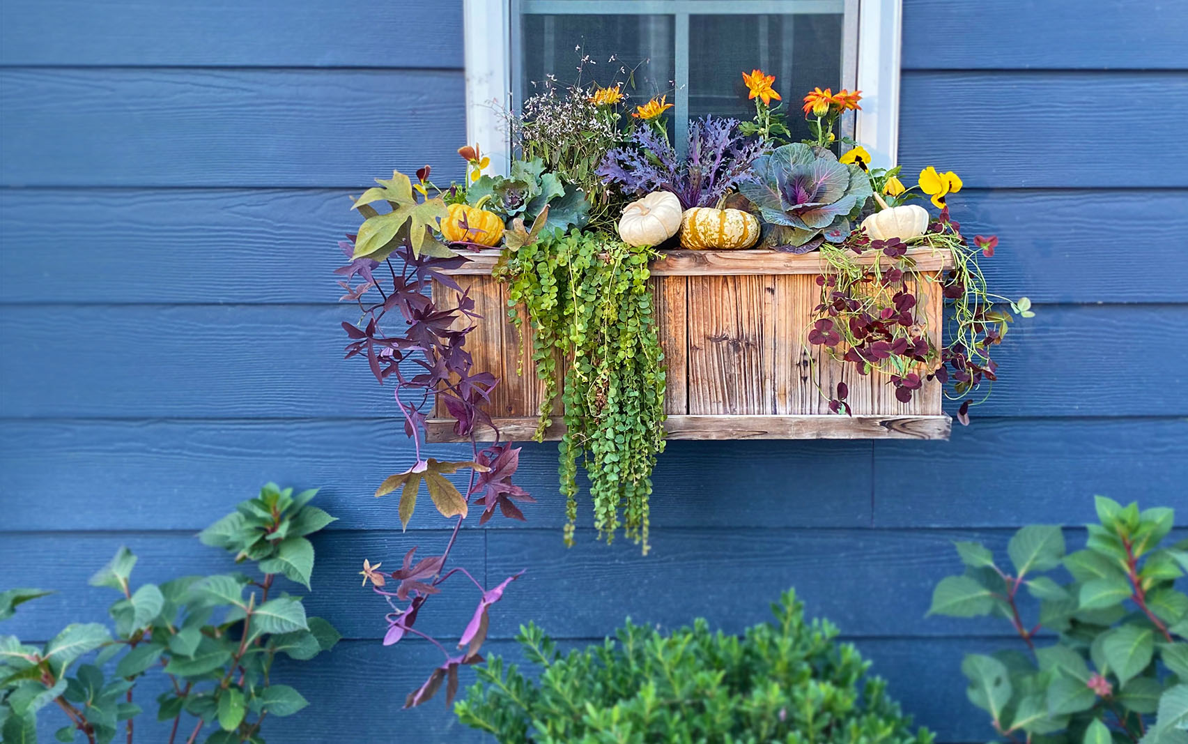 Bring a Little Fall Decor Outside with a Simple Window Box - Shay Can Make