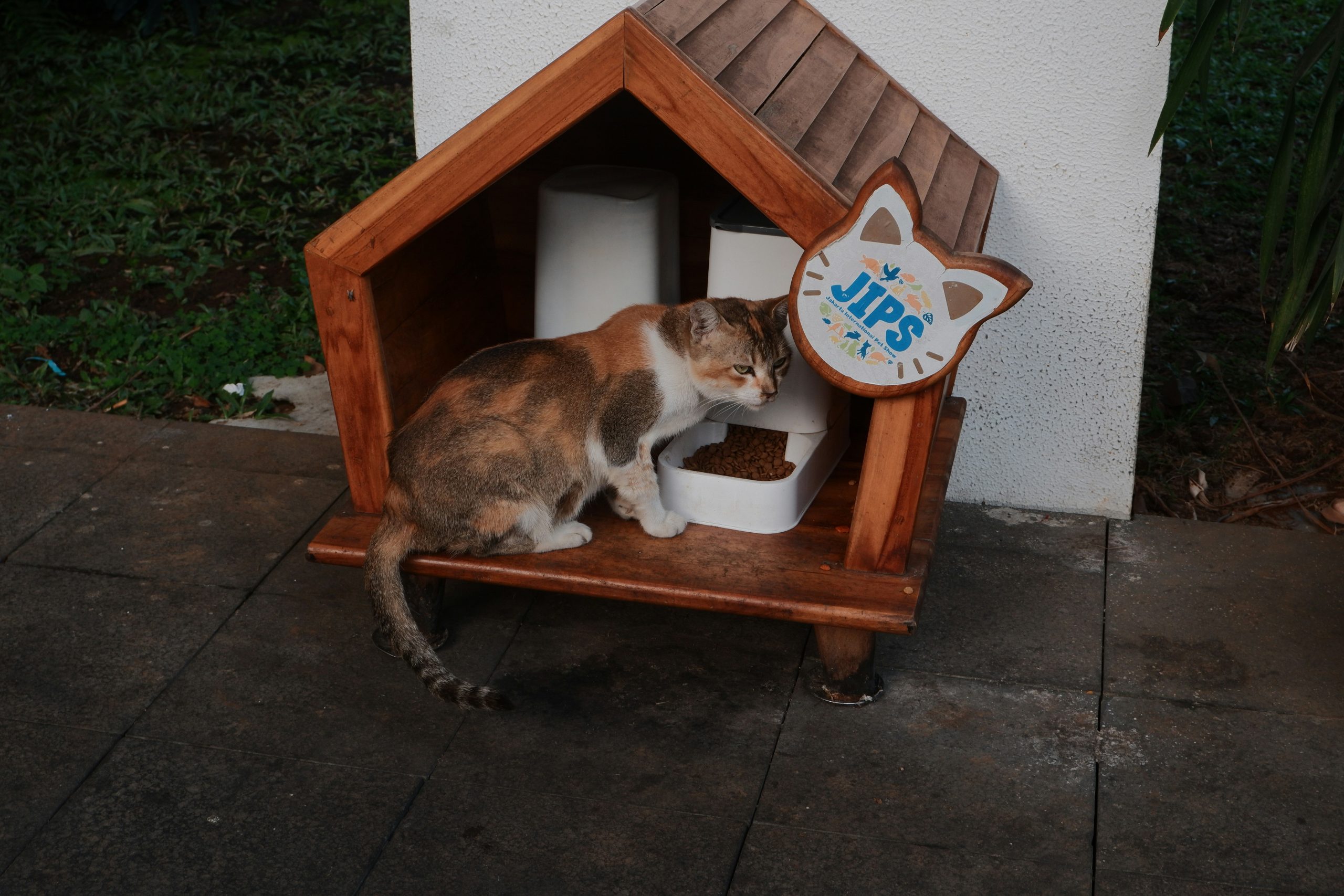 Calico cat eats from bowl inside wooden cat house.