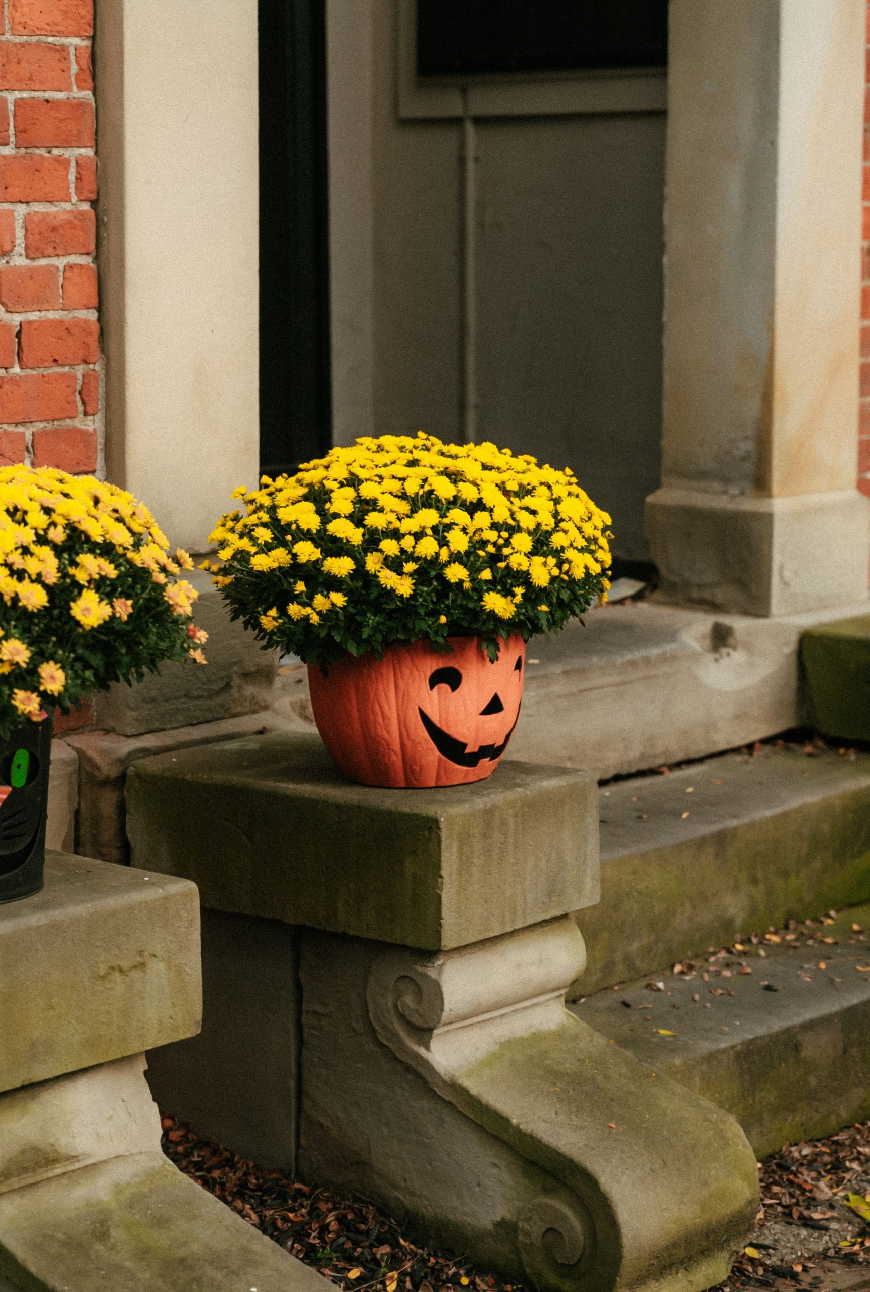 Carved pumpkin planter with bright yellow flowers on a porch step, perfect for fall decor.