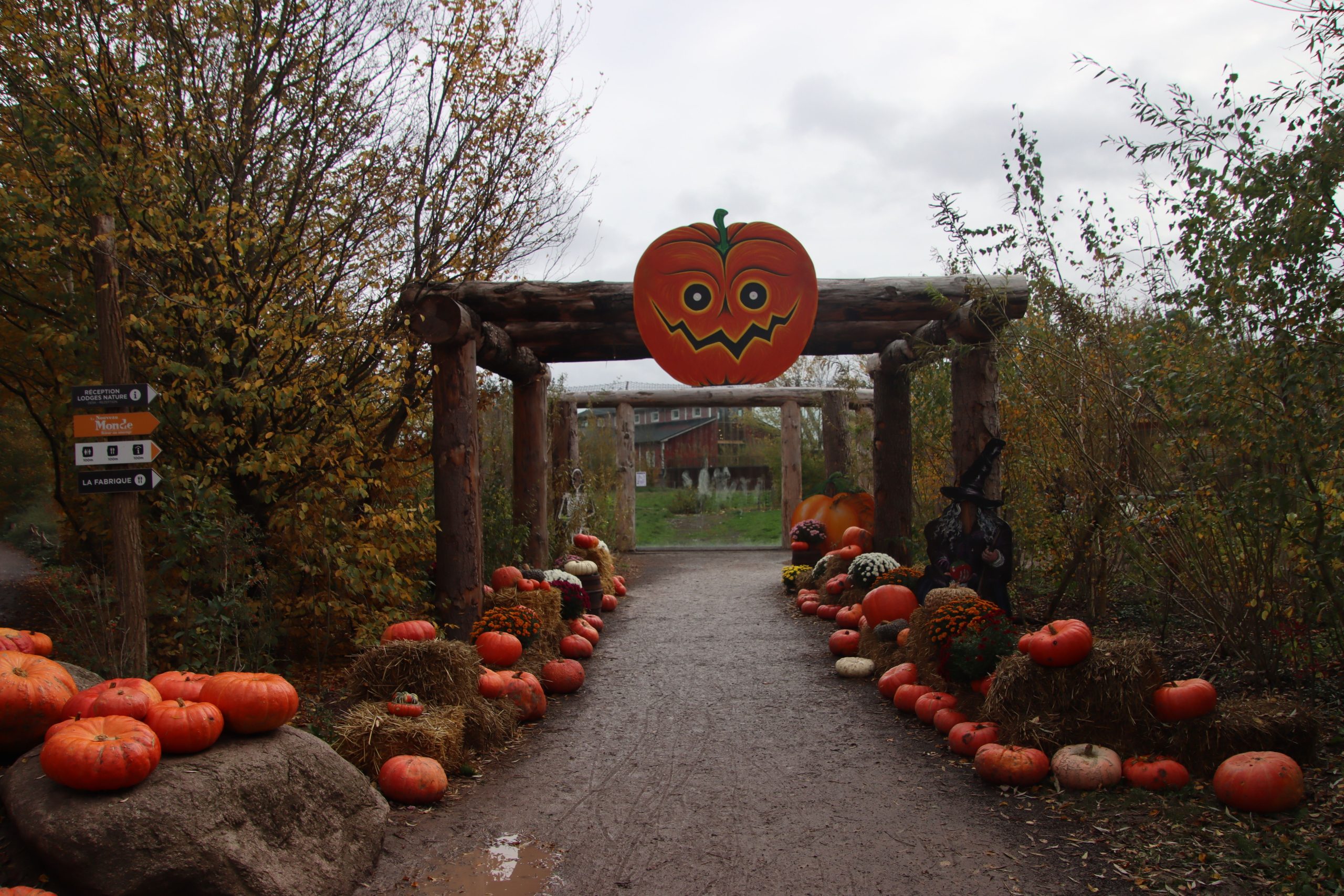 Charming farm entrance with pumpkins and Halloween decor, perfect for an autumn adventure.