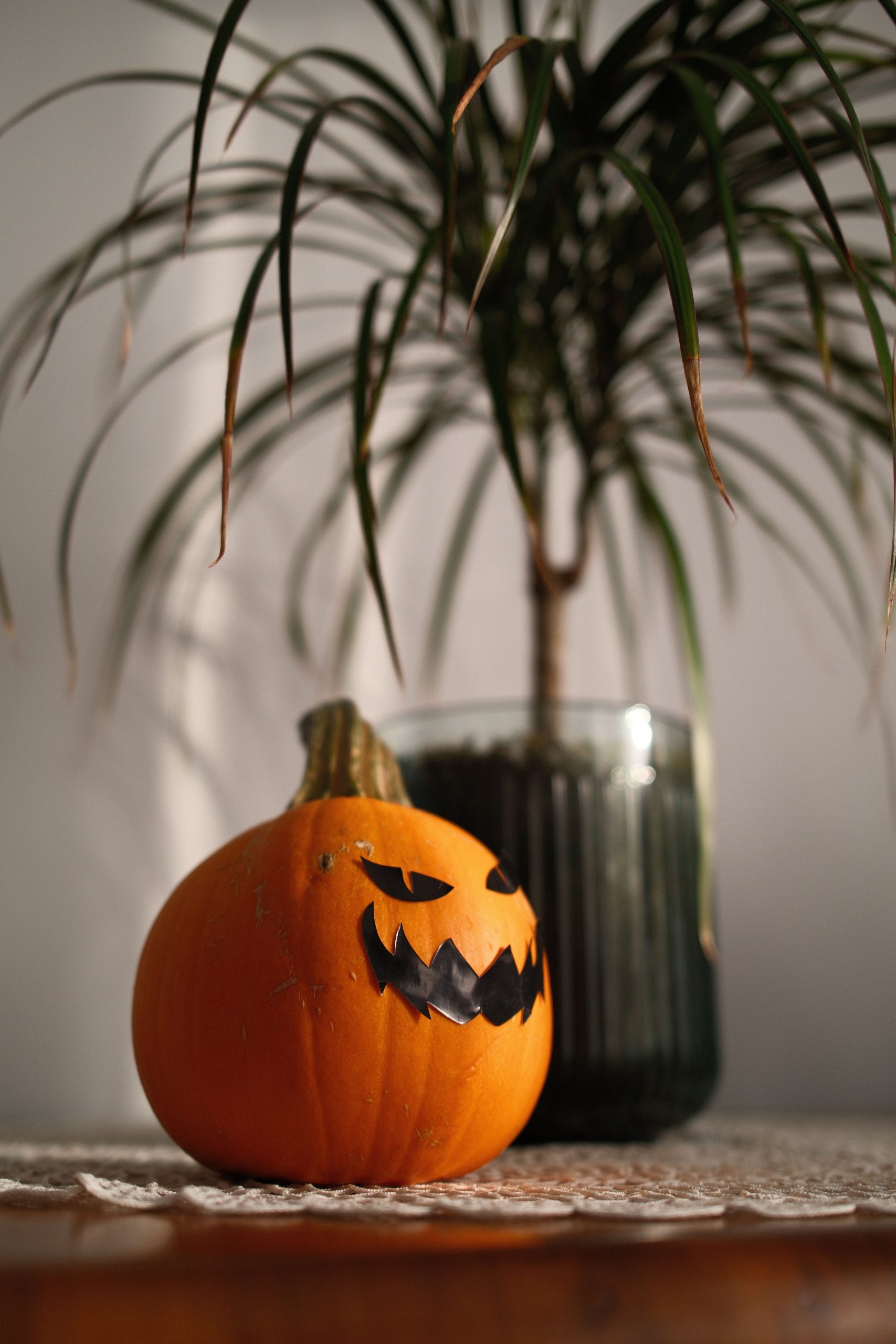Close-up of a jack-o'-lantern next to a potted plant, ideal for Halloween themes.