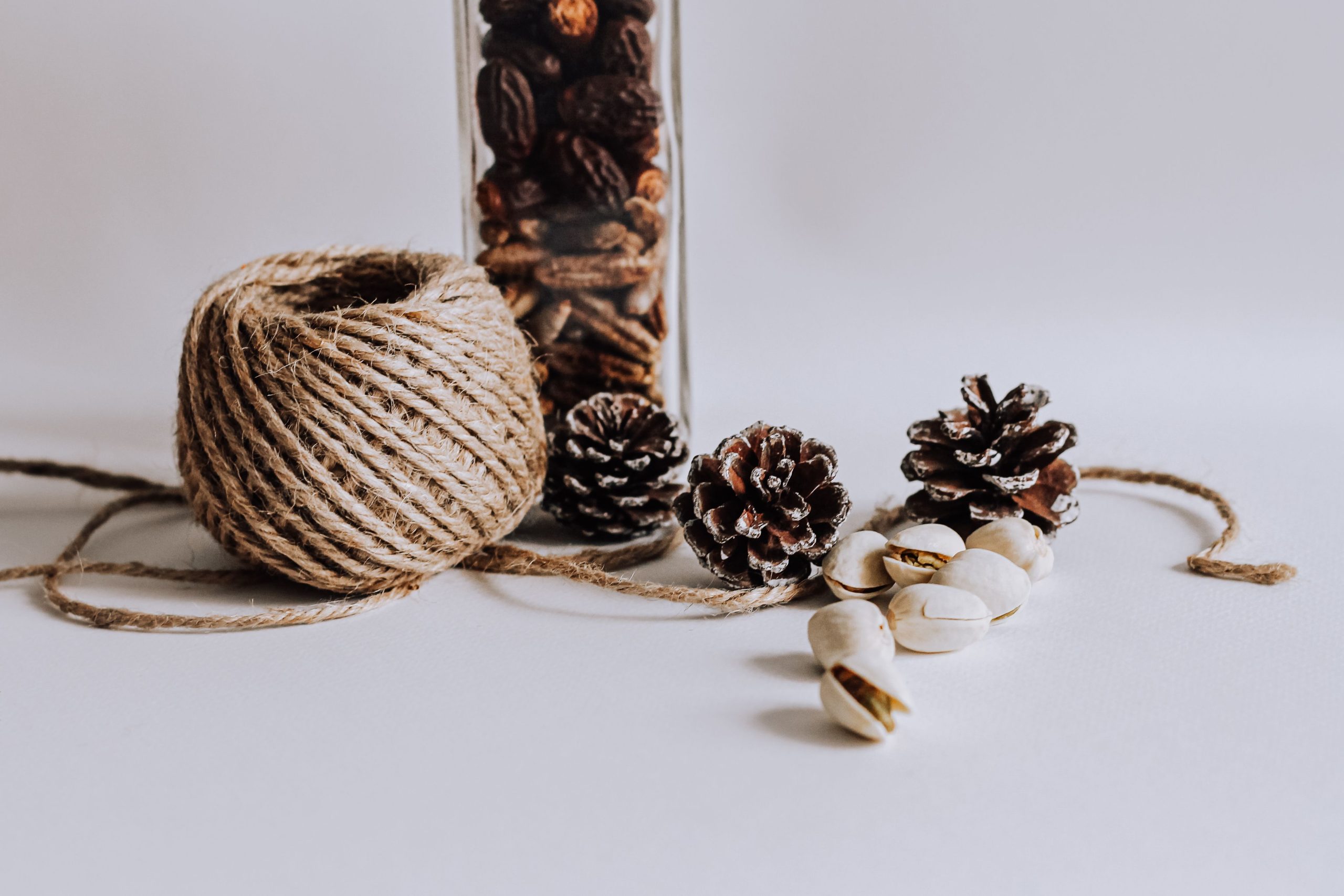 Cozy winter setting featuring pinecones, rope, and nuts on a white background.