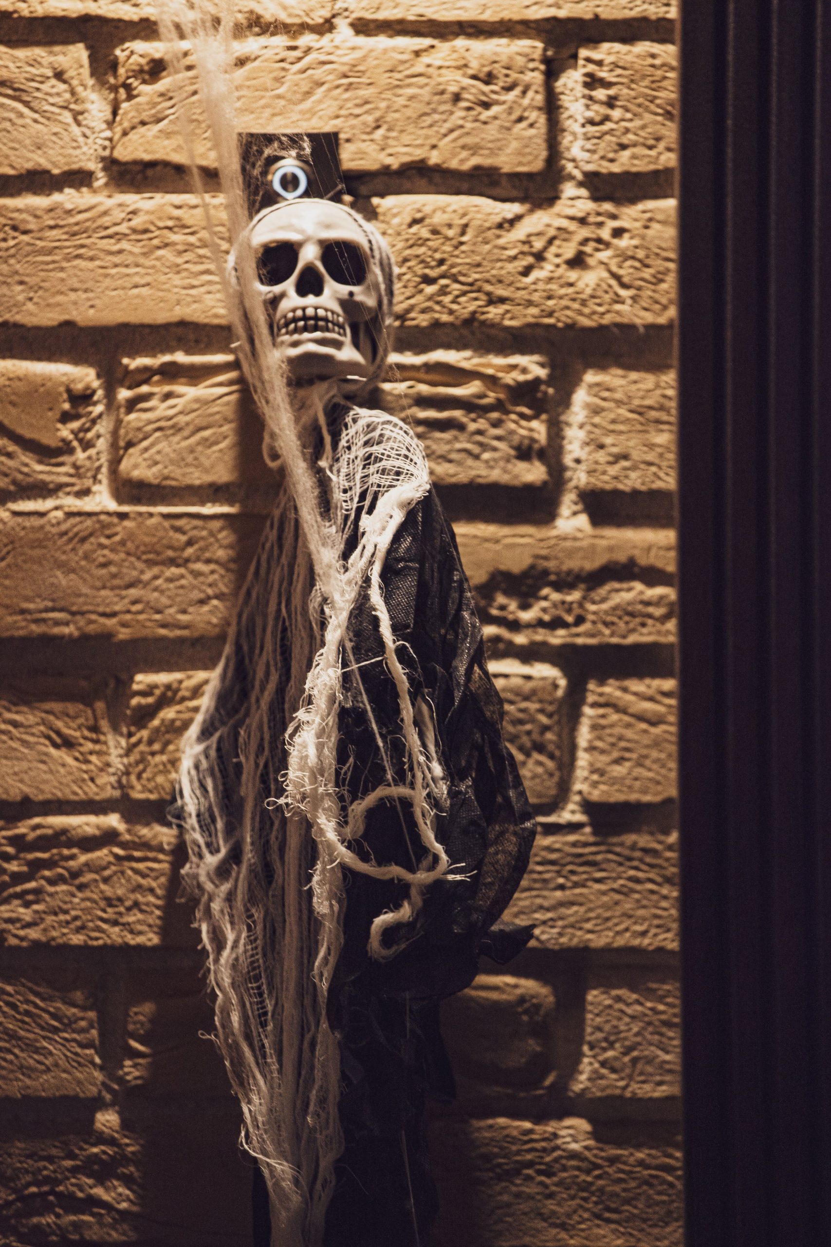 Creepy Halloween skull with cobwebs decor against a textured brick wall for spooky ambiance.