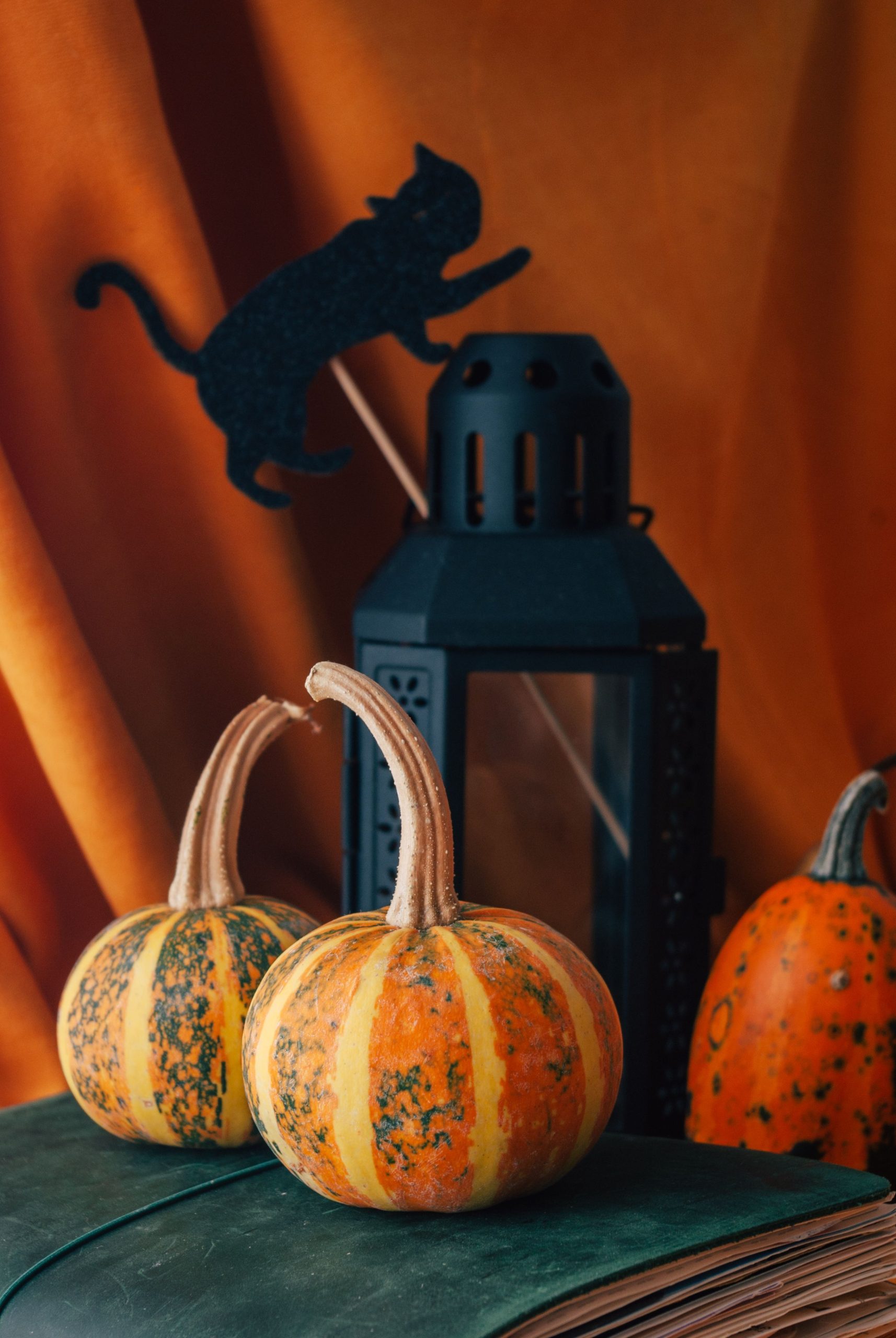 Decorative pumpkins and lantern with Halloween cat silhouette against an orange background.