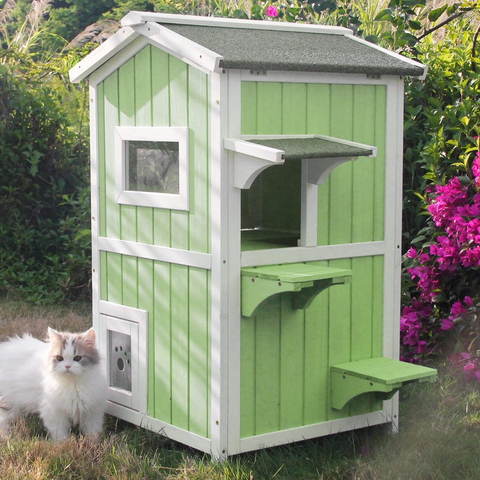 Diy Cat House Designs Outdoor Insulated Cat Outdoor Shelter Diy Diy Insulated Cat Houses Top