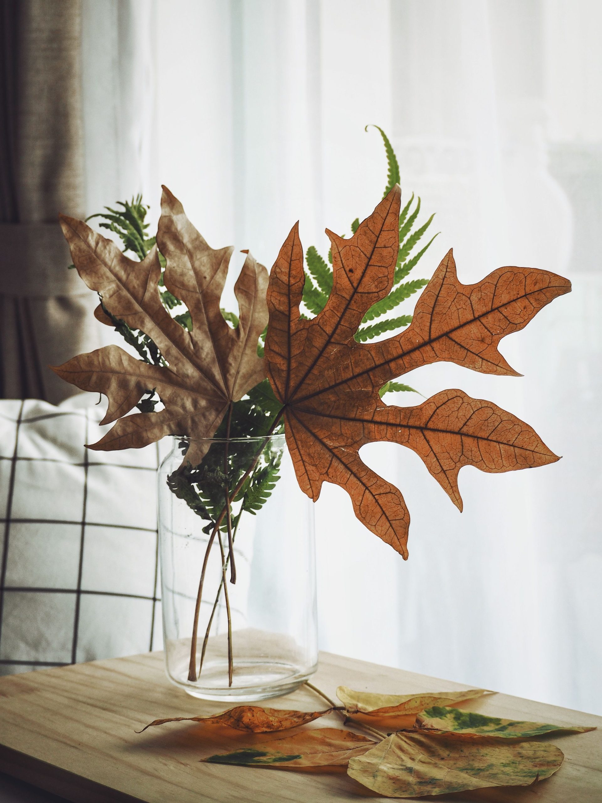 Elegant indoor decor featuring autumn leaves in a vase on a table.