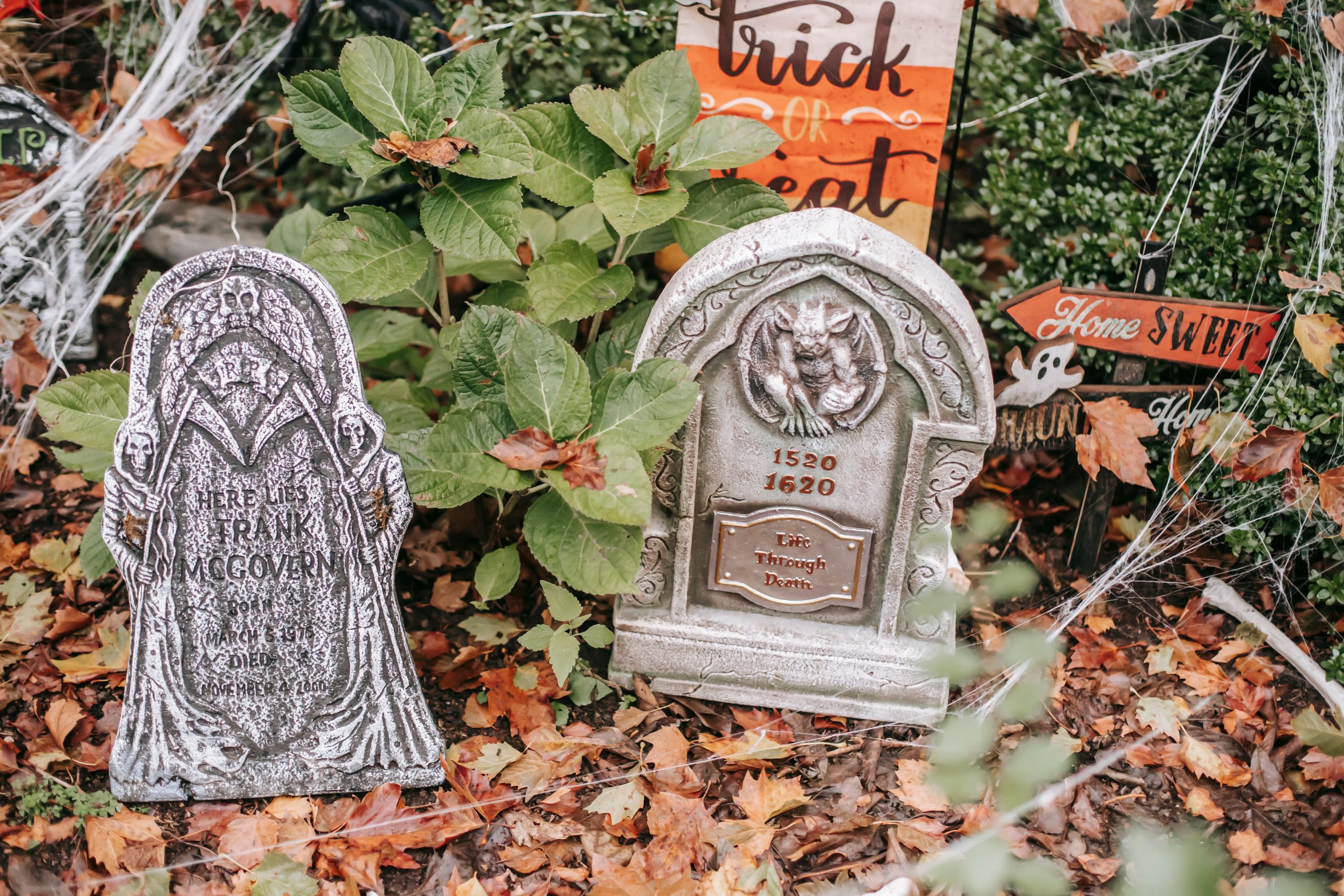 Fake gravestone with web around placed on ground near signs Trick or treat and home sweet home in autumn day in Halloween